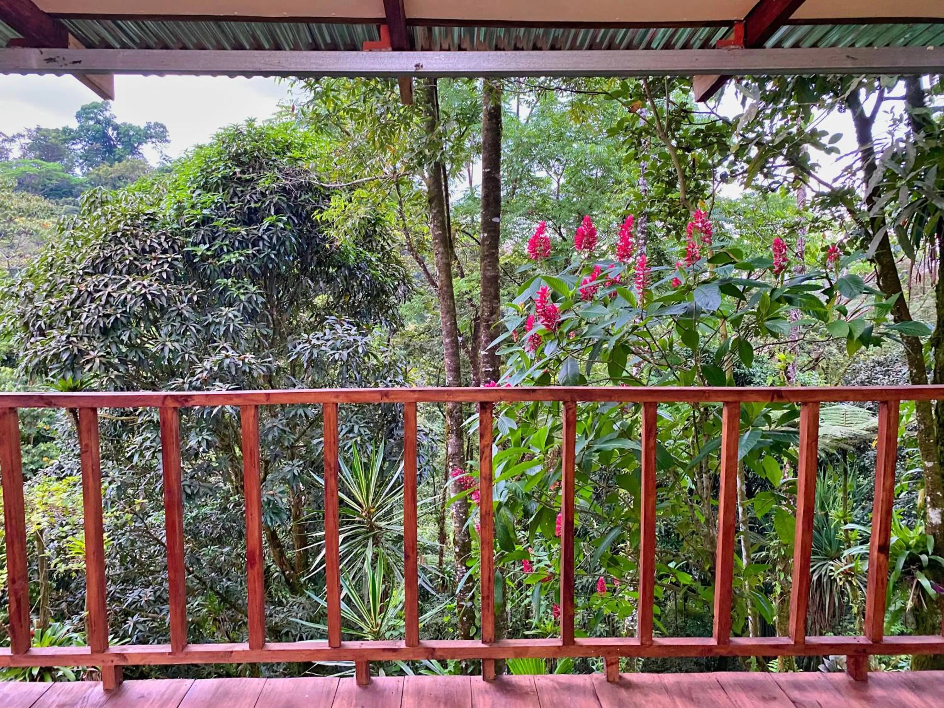 Princesa de la Luna Ecolodge
