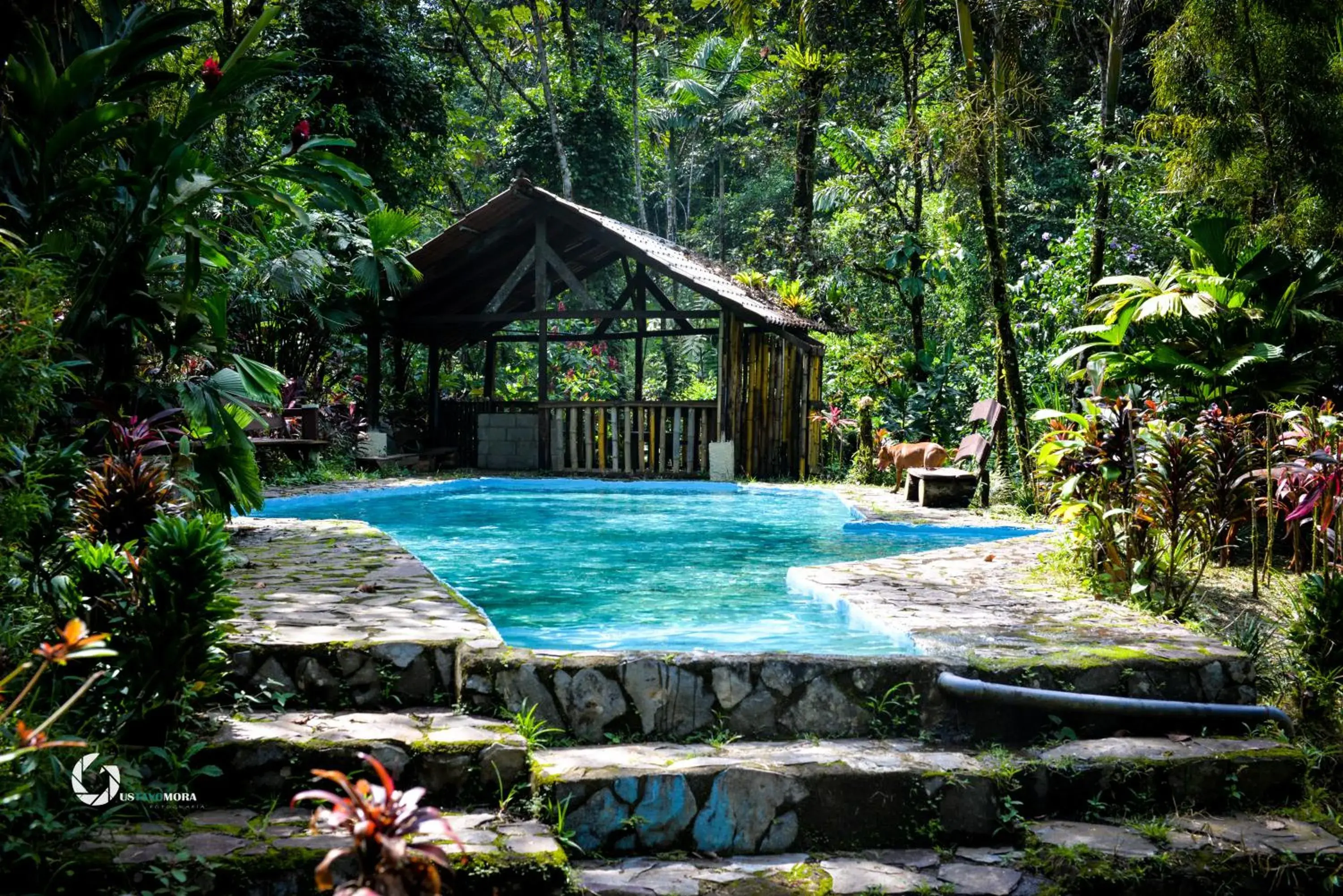 Princesa de la Luna Ecolodge Princesa de la Luna Ecolodge