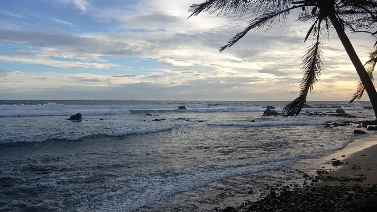 Jayanthi Surf Dreams