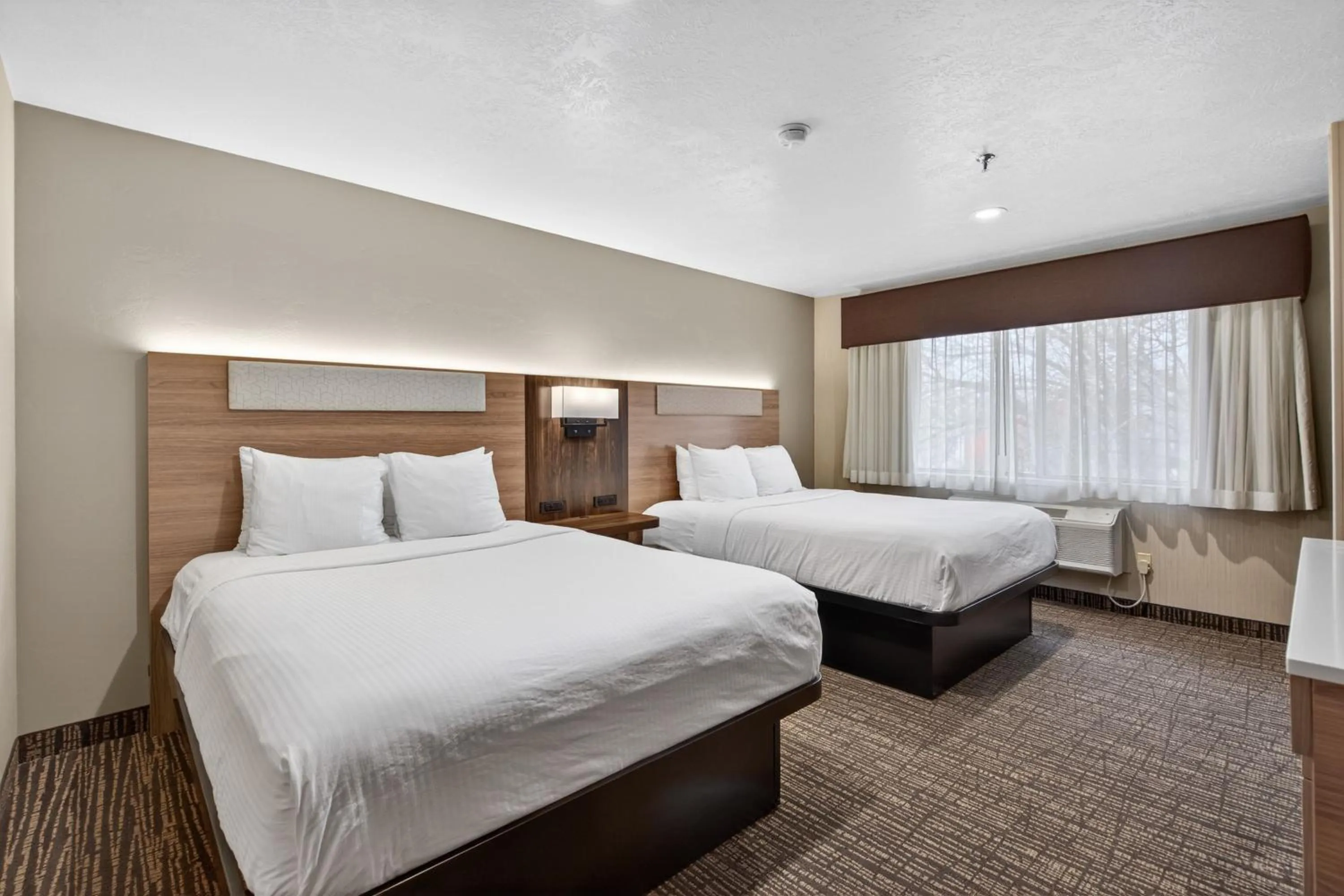 Bed in Best Western Timpanogos Inn