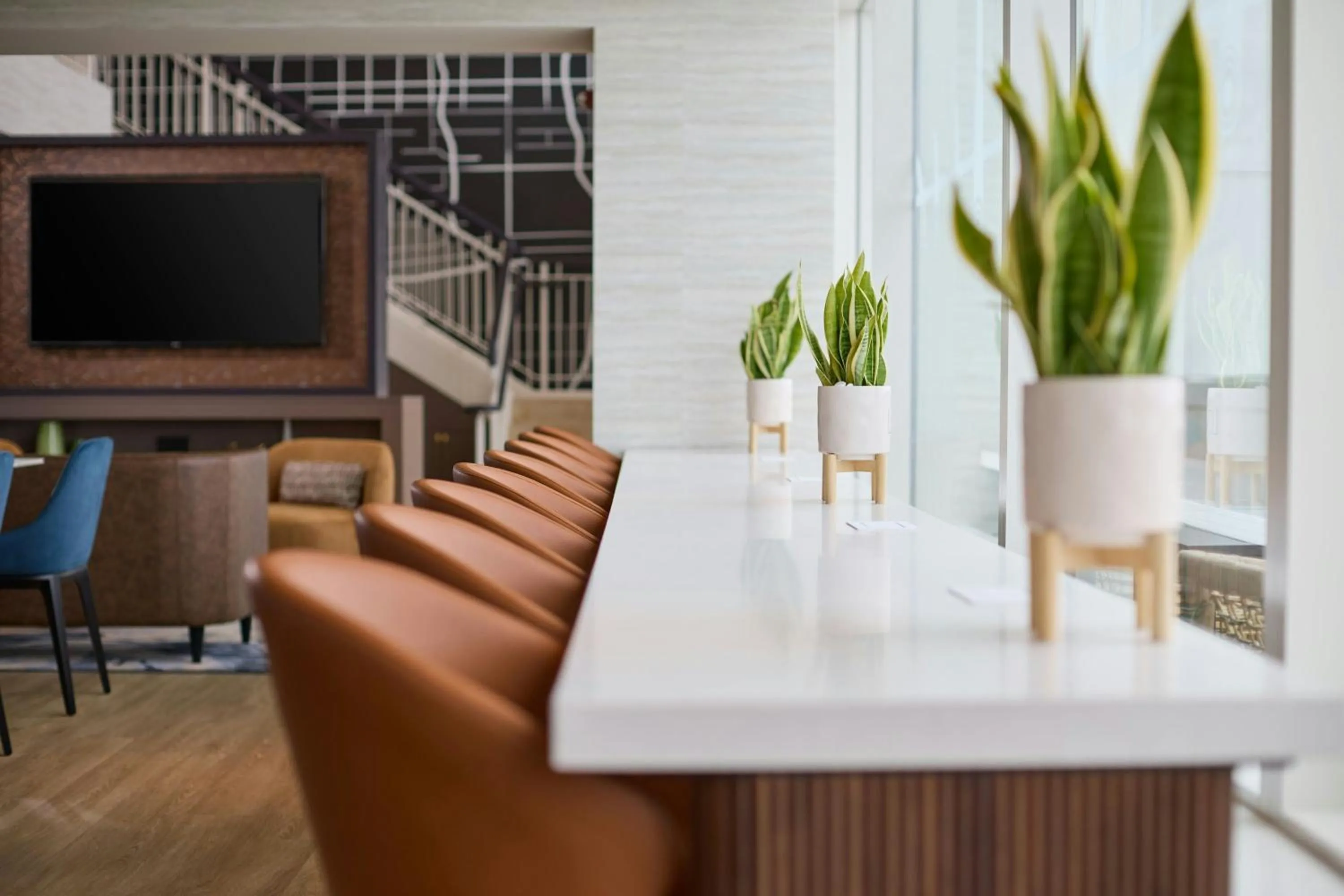 Lounge or bar in Renaissance Schaumburg Convention Center Hotel