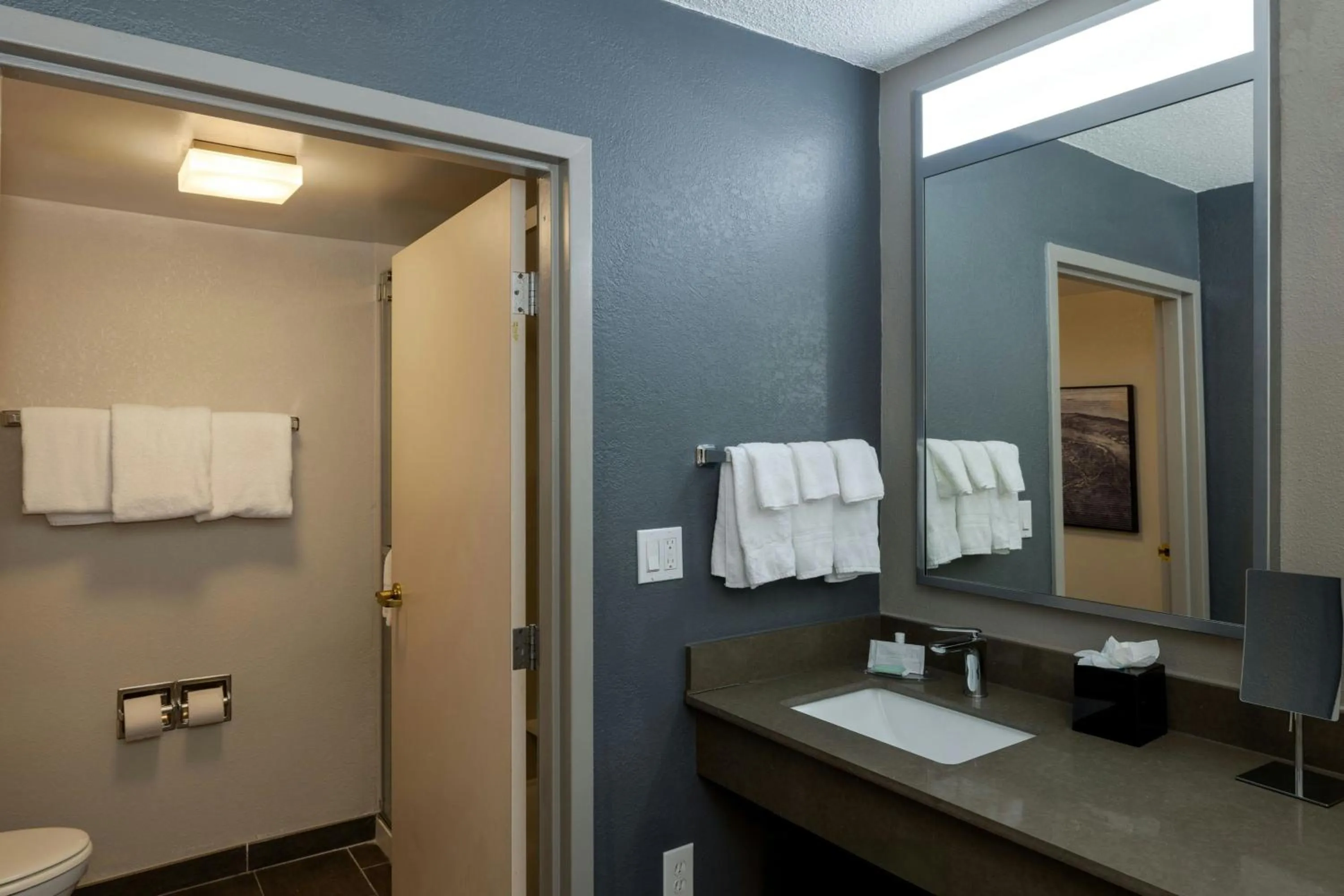 Bathroom in Courtyard by Marriott North Charleston Airport Coliseum