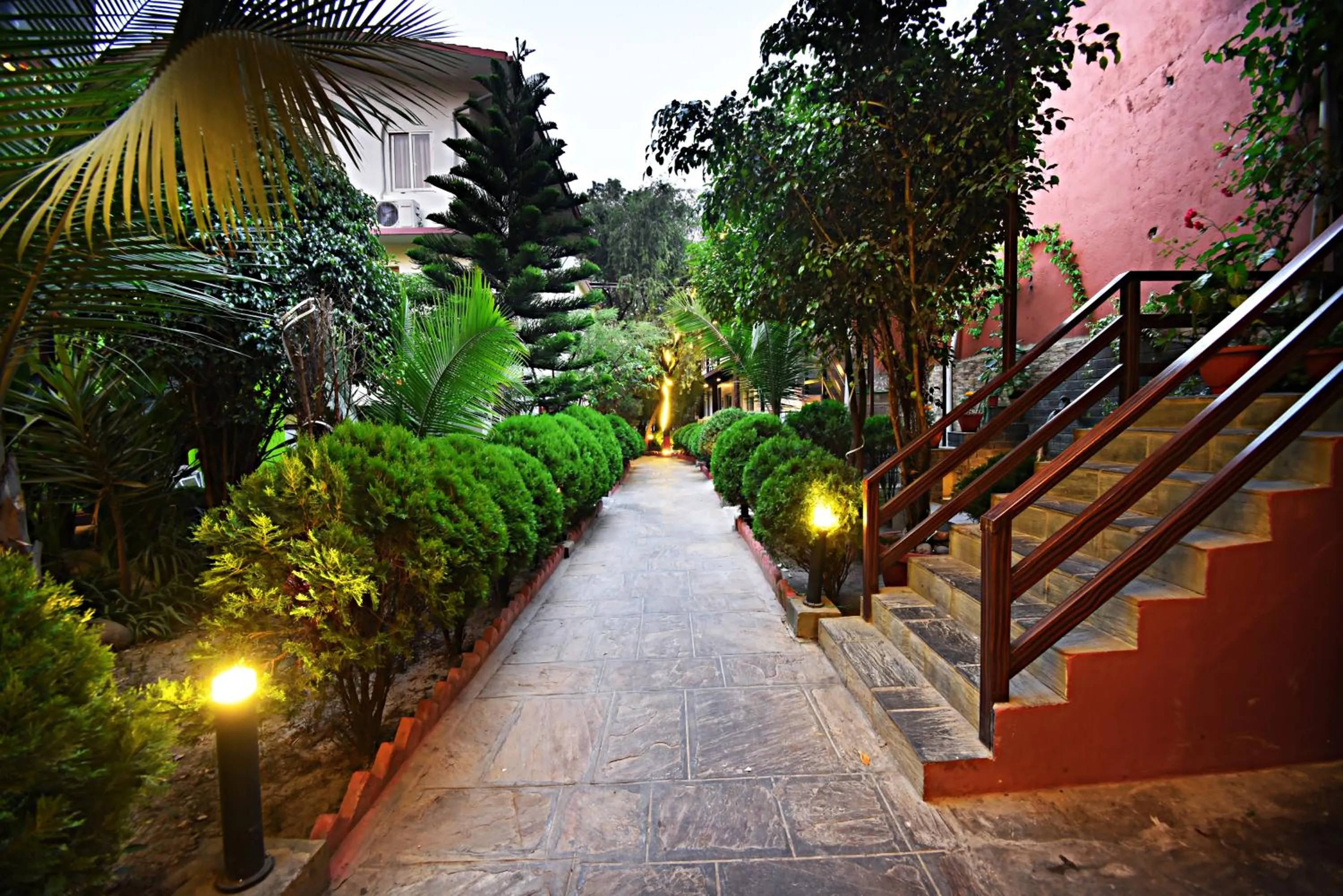 Garden in Hotel Thamel Park