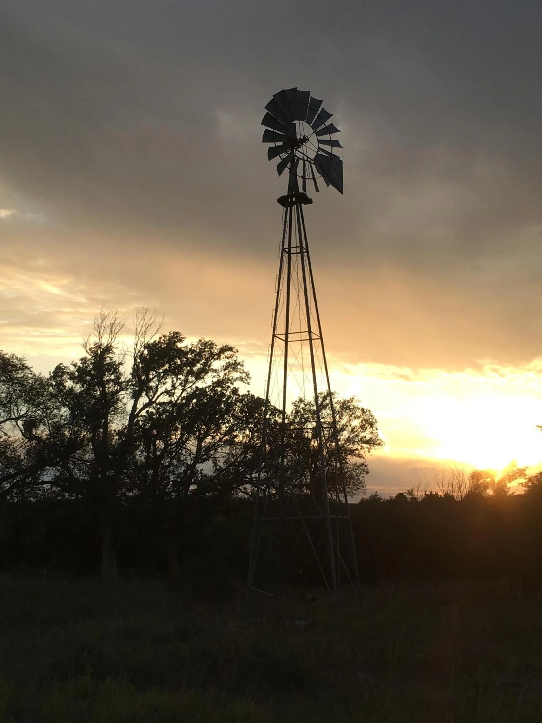 Property building in ReWild Ranch LLC