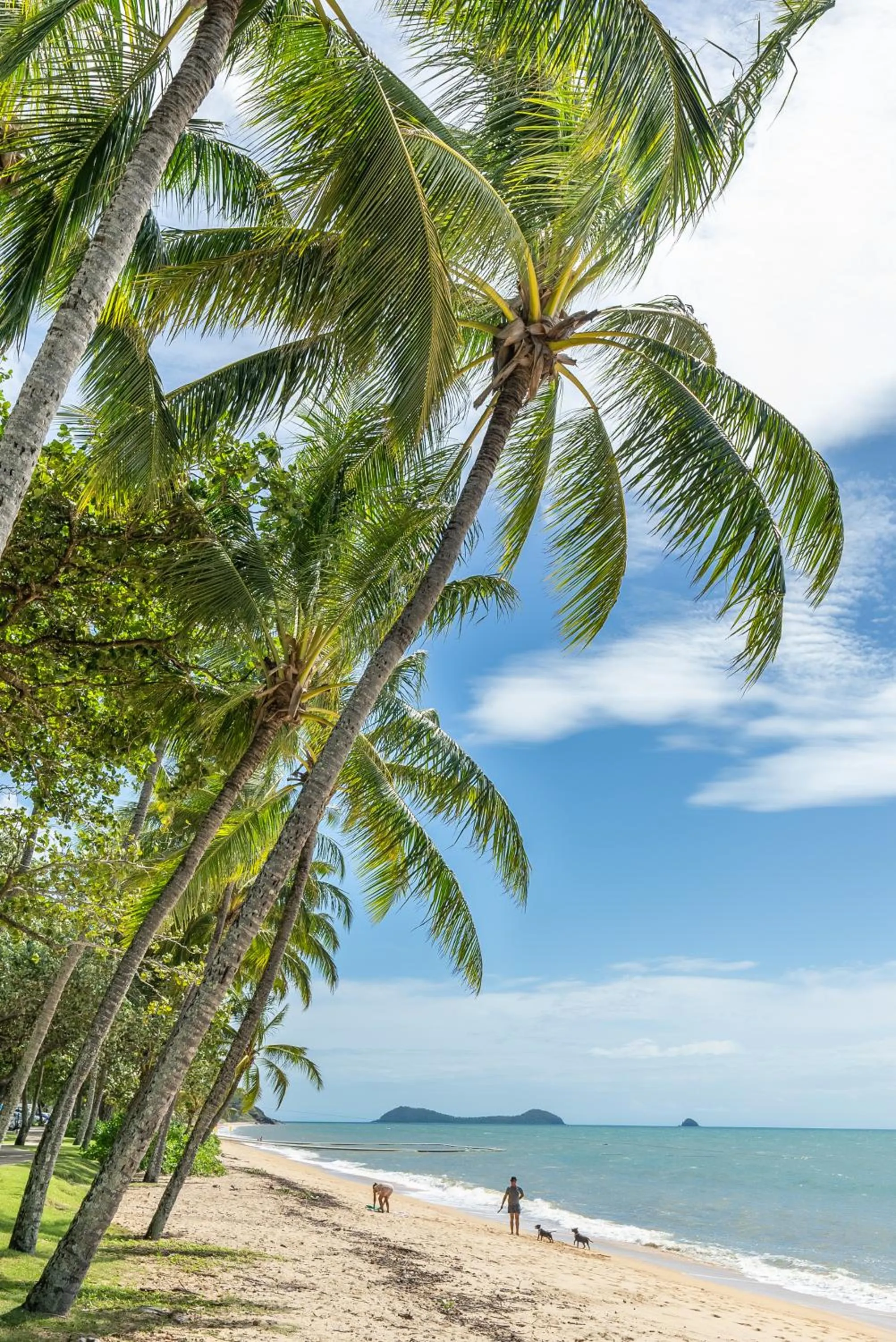 Trinity Beach Pacific