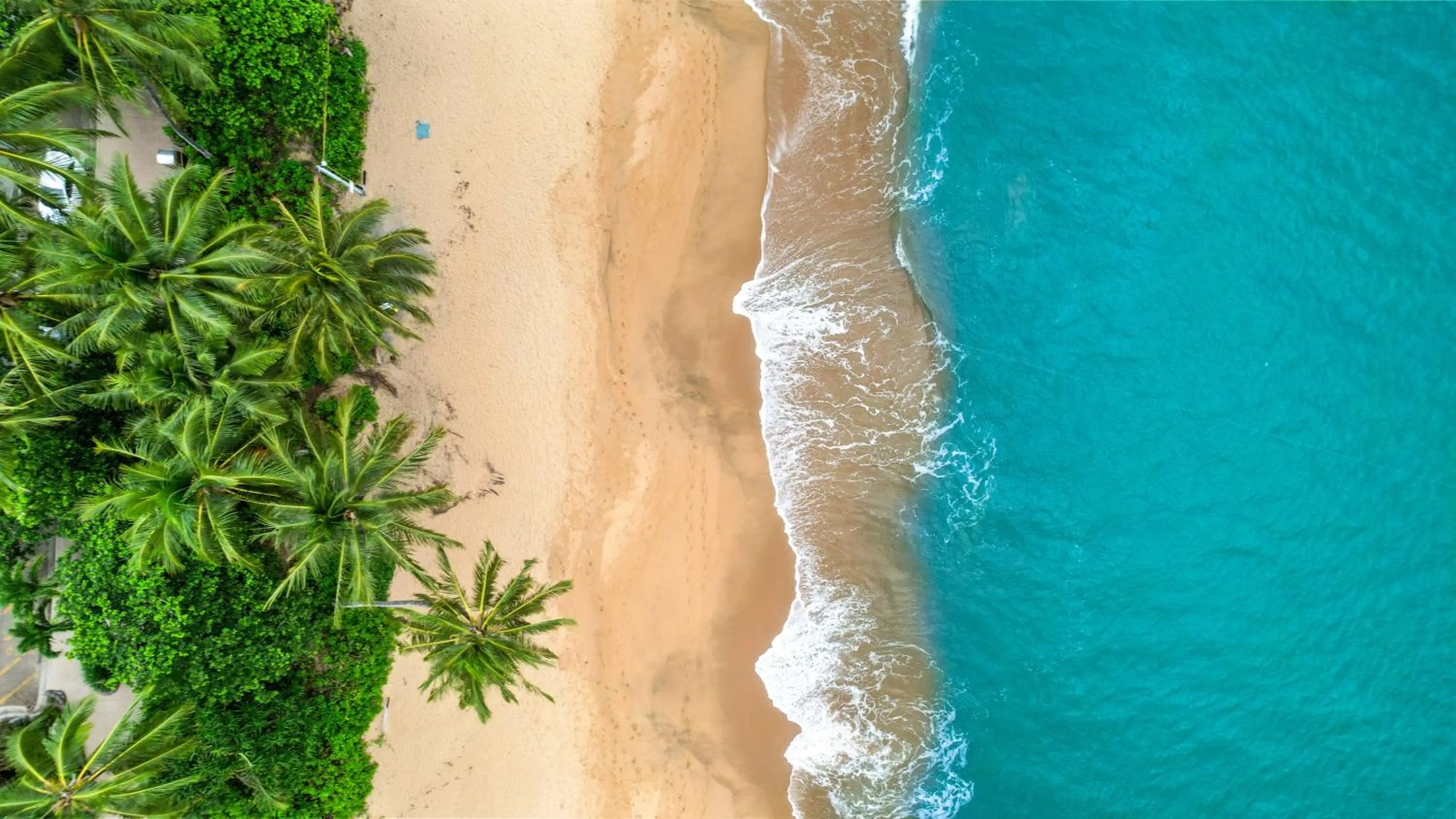 Trinity Beach Pacific