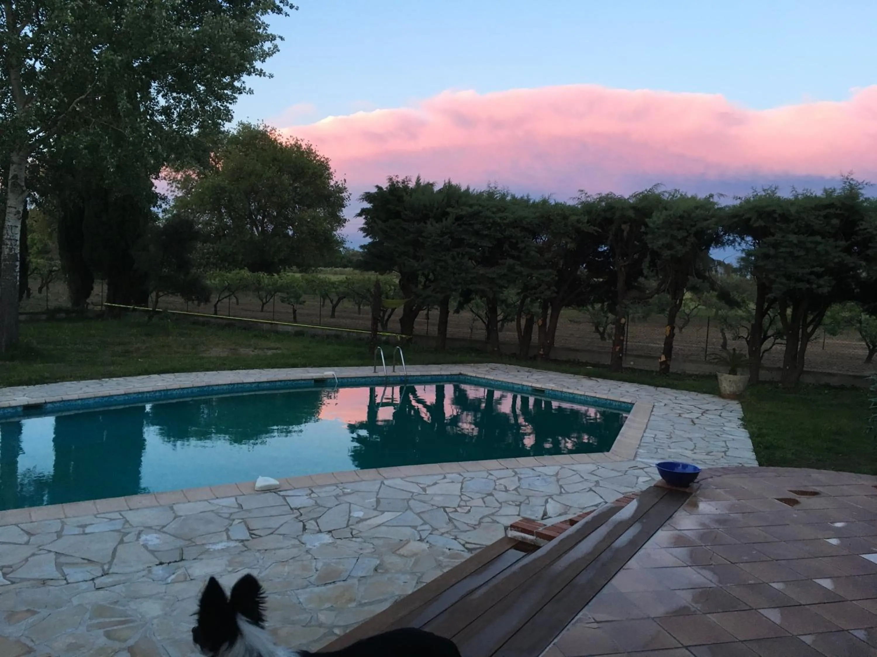 Natural landscape in LE CHÊNE ET L'EAU