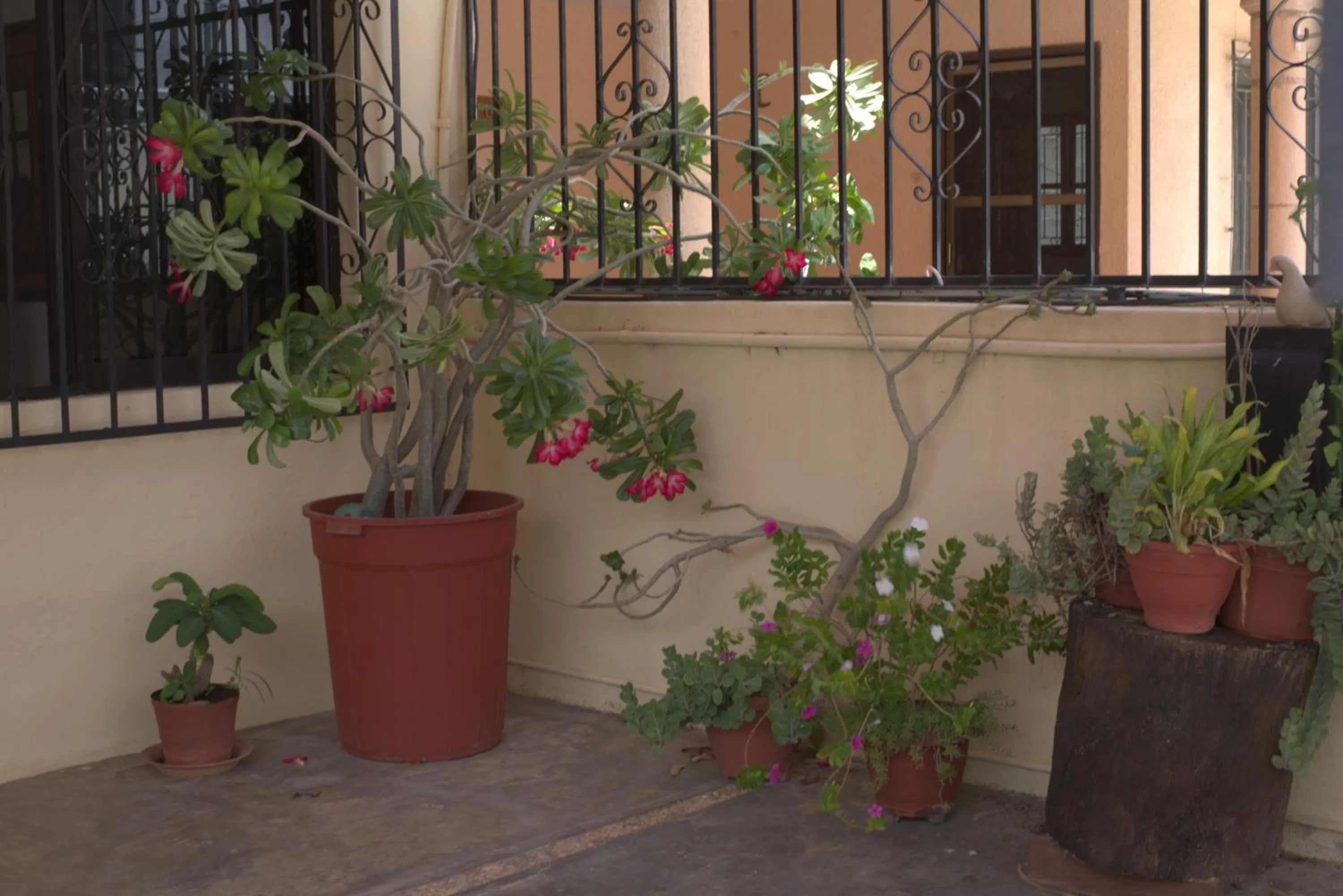 Facade/entrance in La Casa del Chac