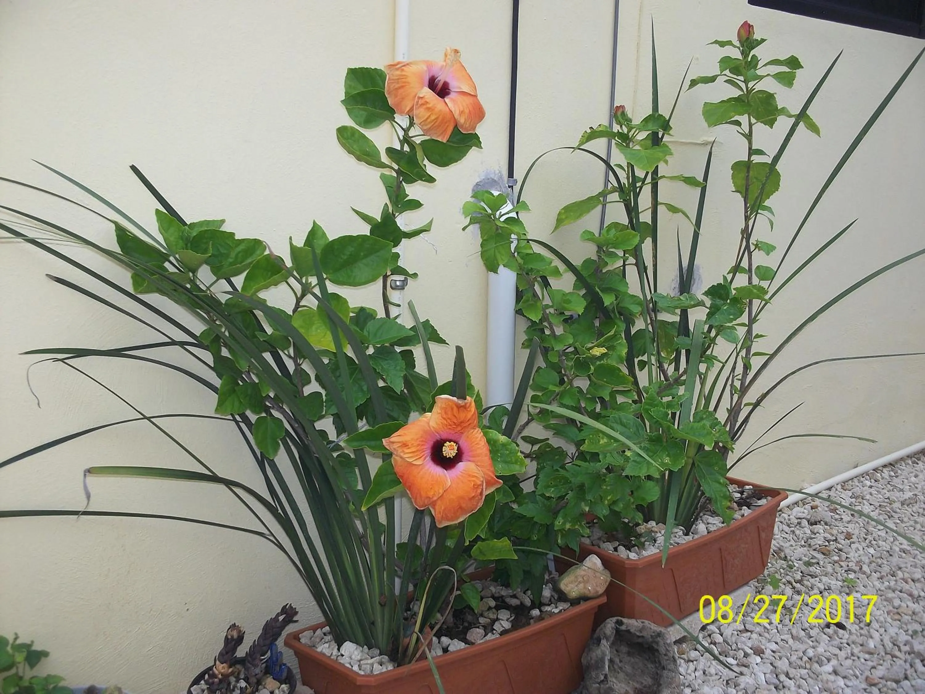 Patio in La Casa del Chac