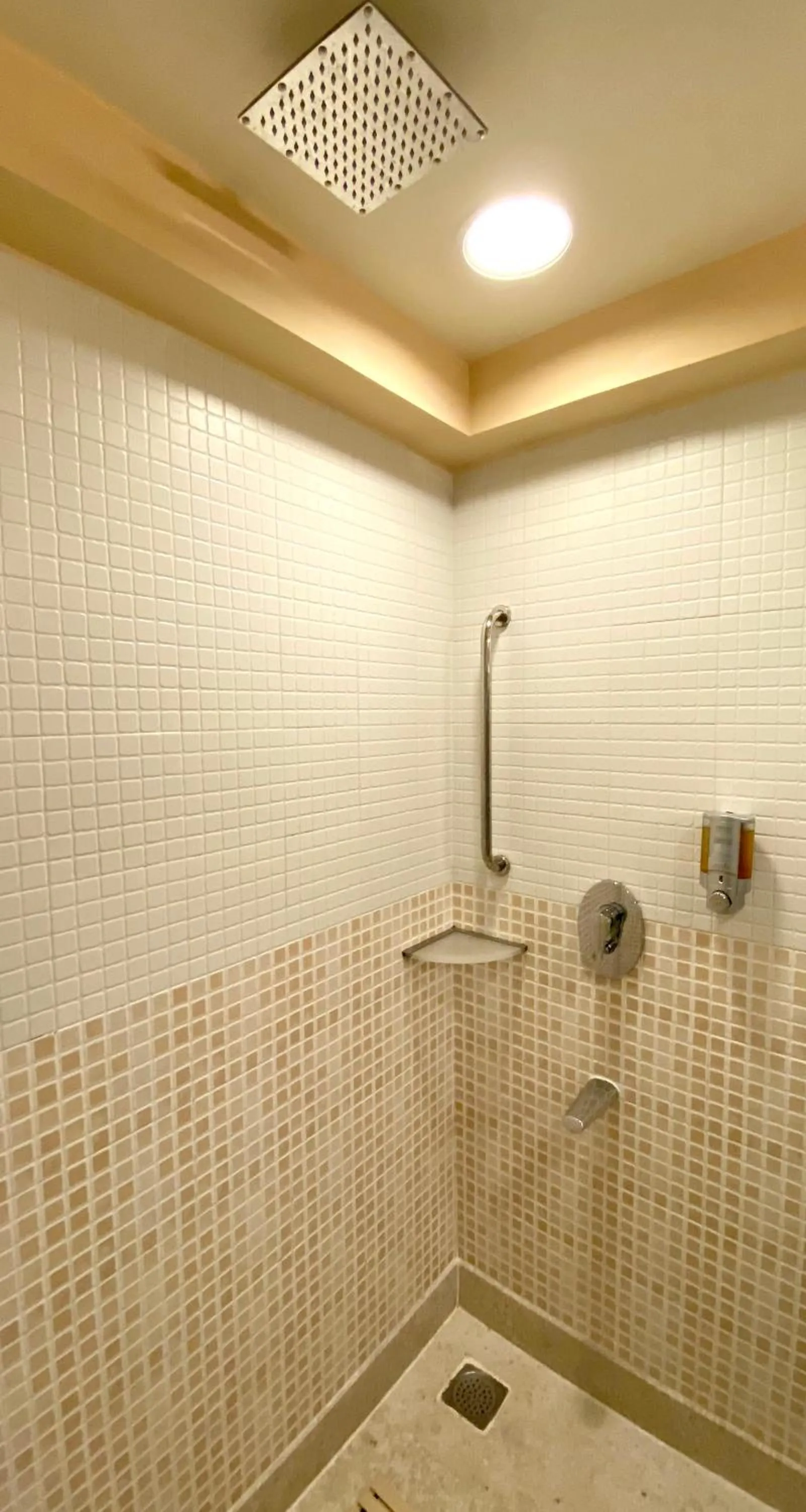 Bathroom in Fortune Park Lake City, Thane - Member ITC Hotels' Group