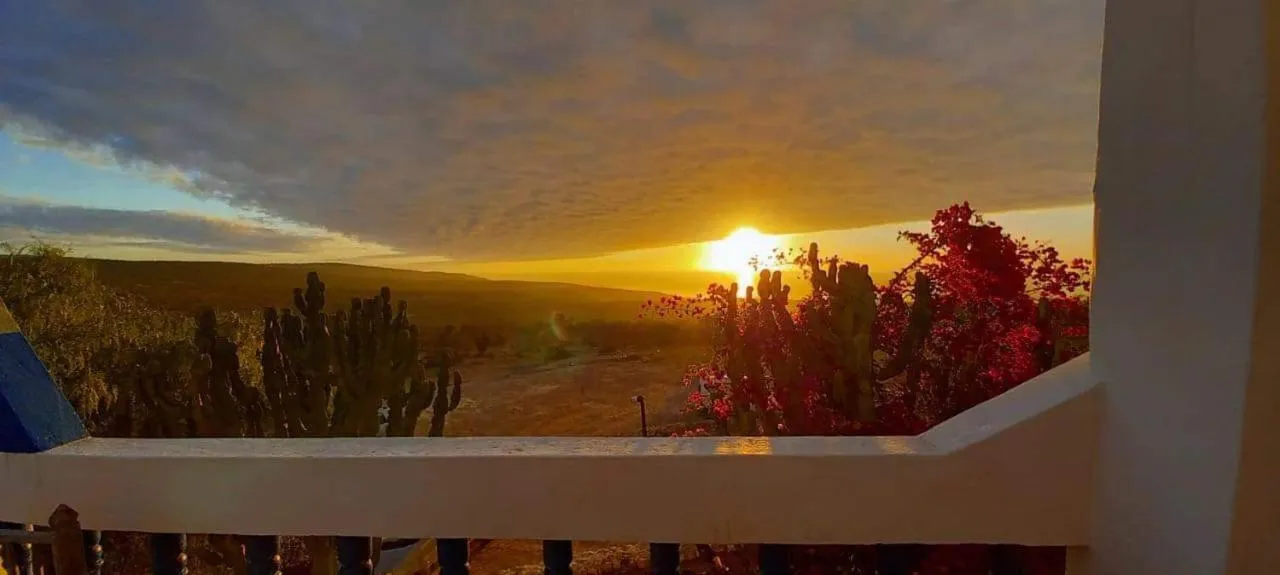 Balcony/Terrace in L'Air De La Mer