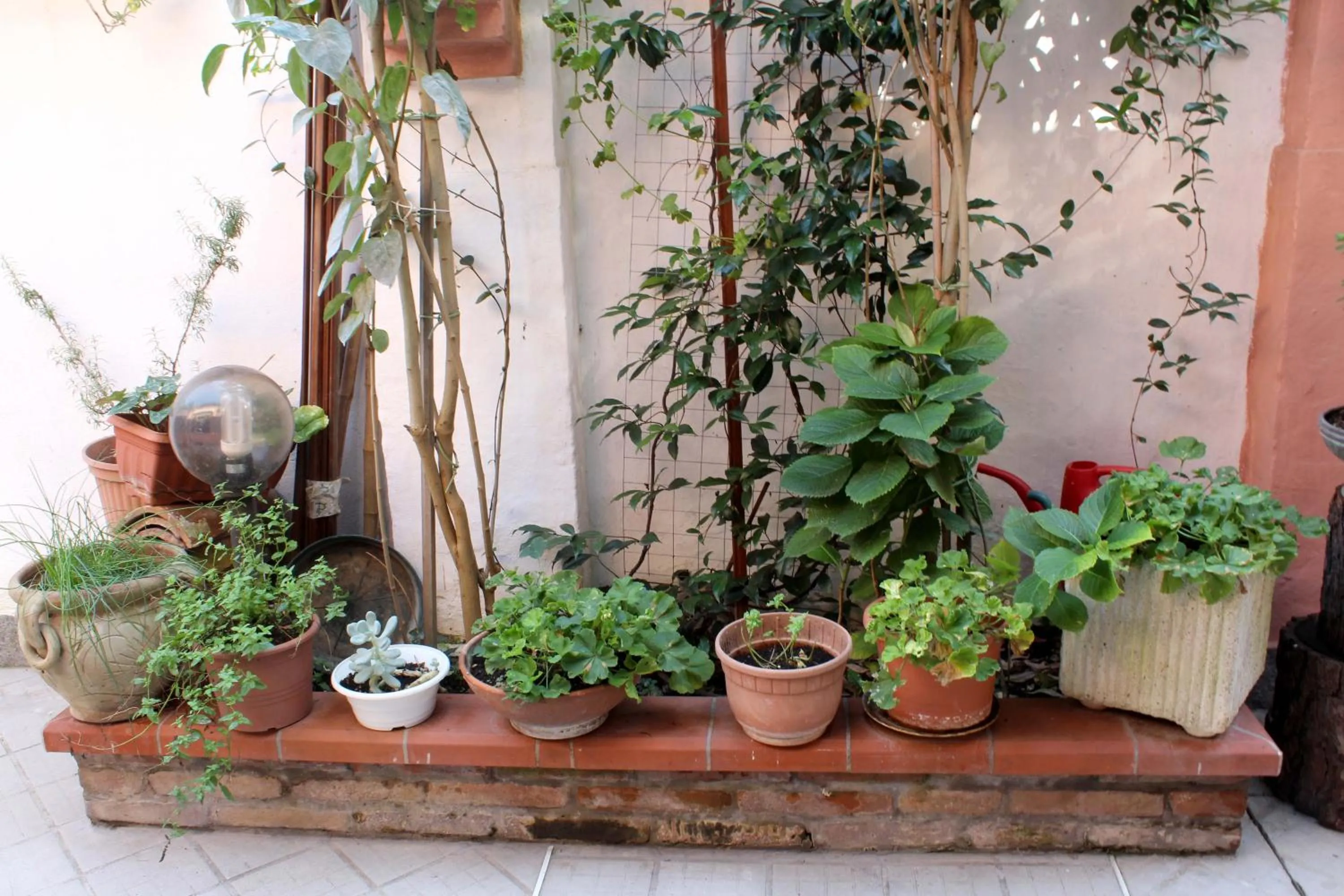 Garden in Porta del Carmine