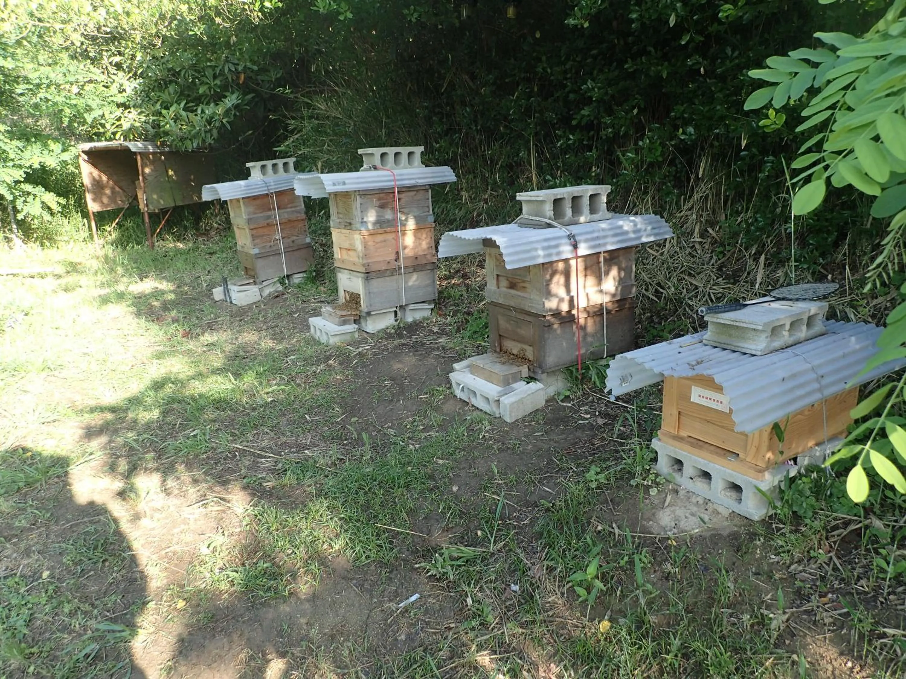 Pension KUROSHIOMARU