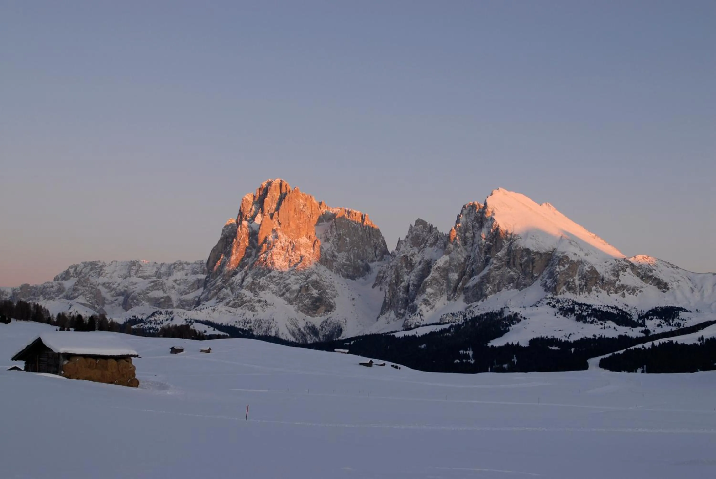 Area and facilities in Hotel Lamm