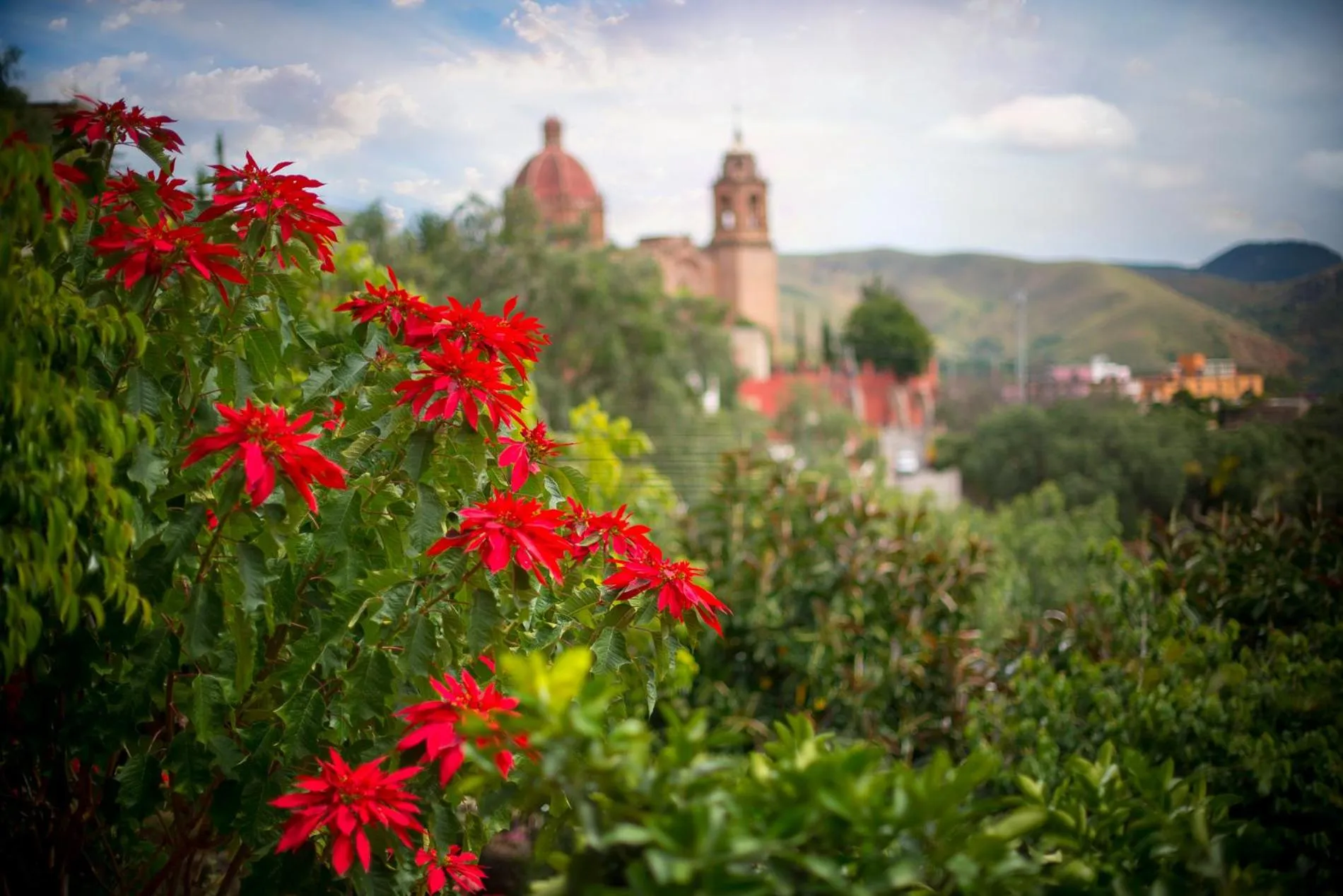 Off site in Casa Estrella de la Valenciana Hotel Boutique