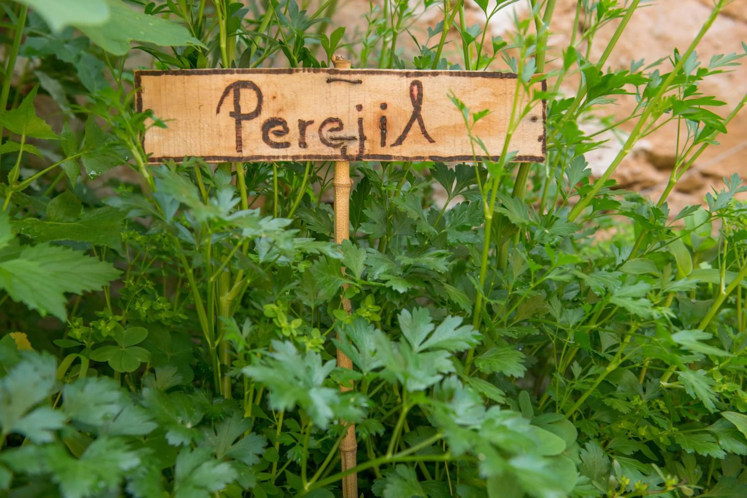 Off site in Casa Estrella de la Valenciana Hotel Boutique