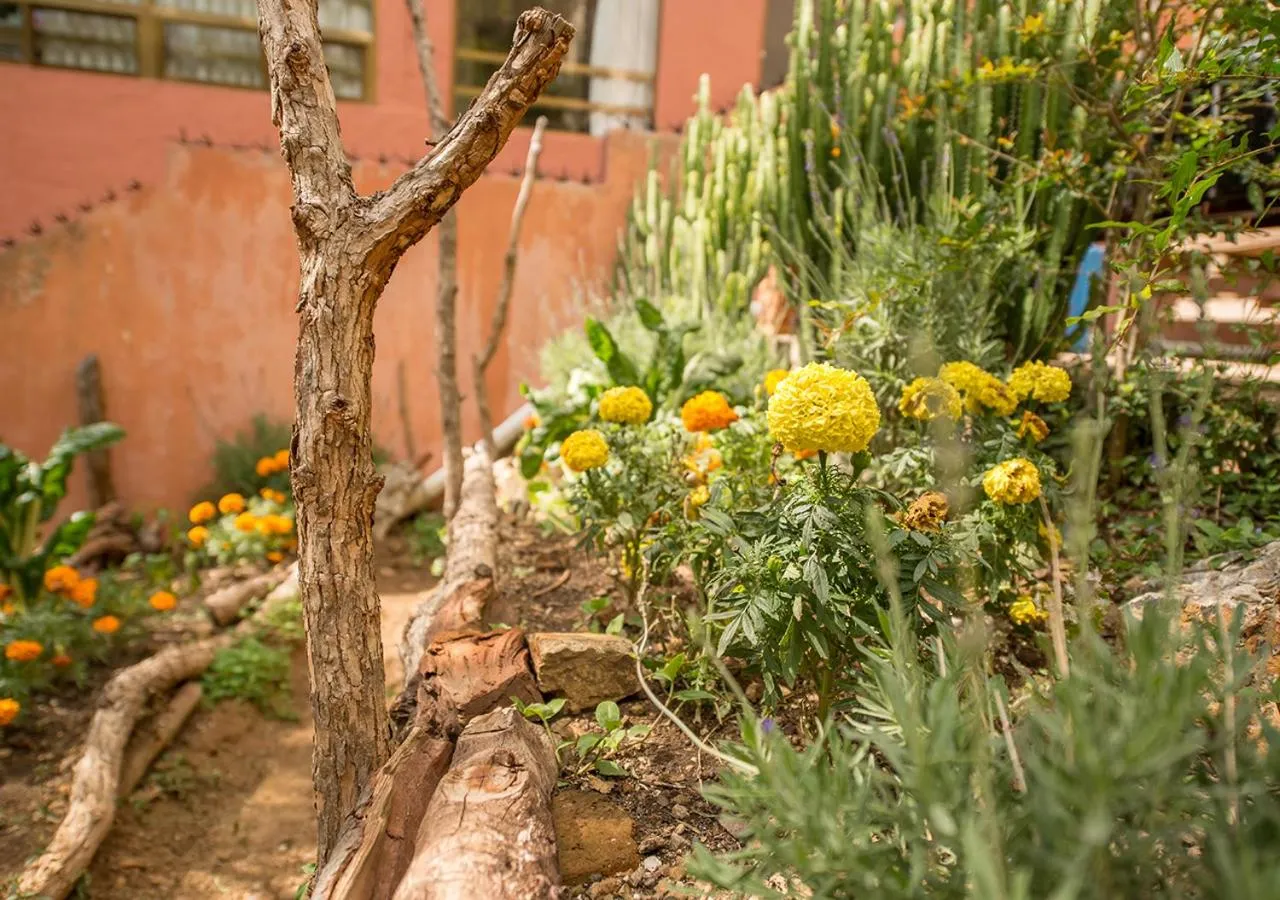 Garden in Casa Estrella de la Valenciana Hotel Boutique