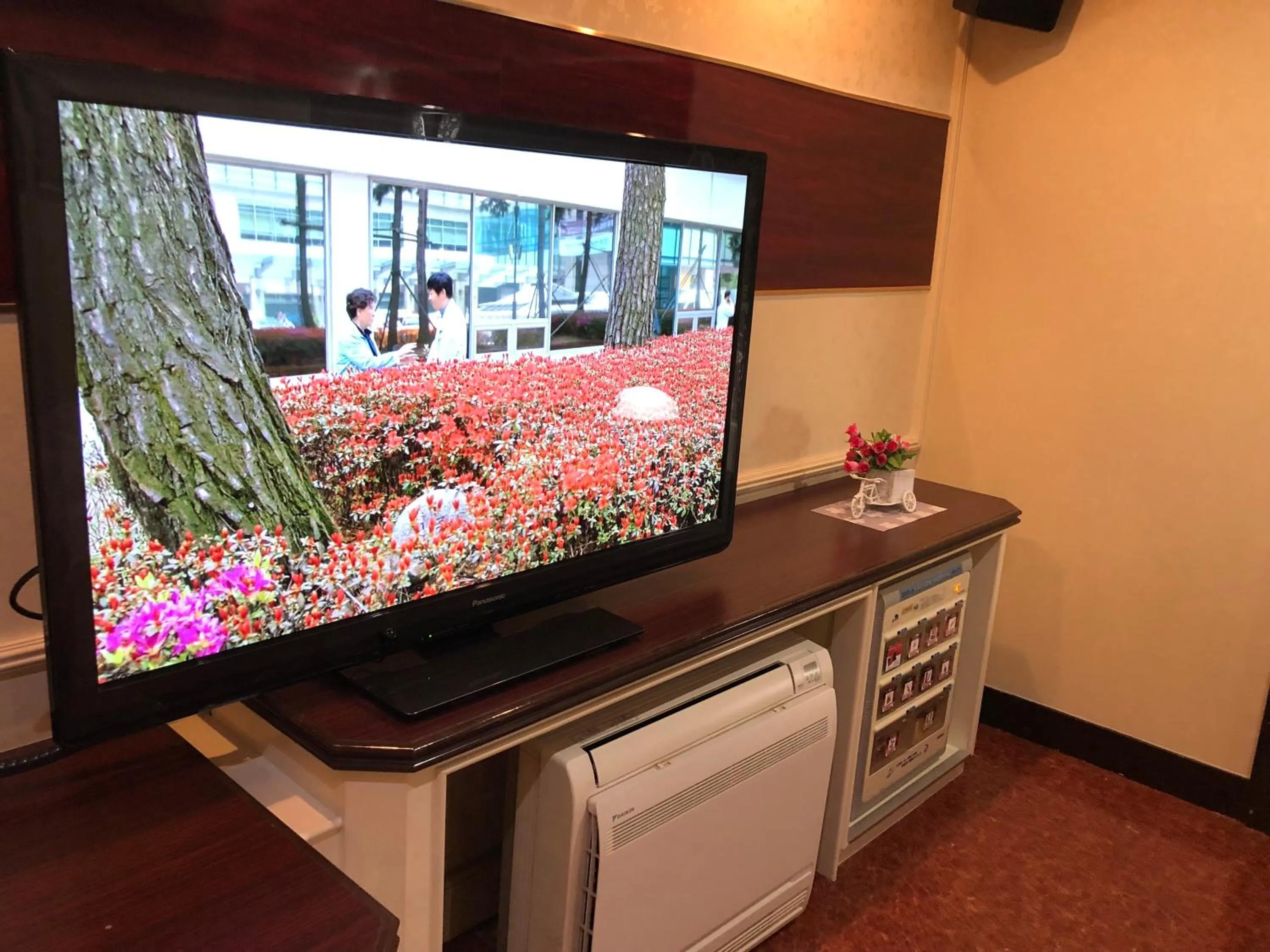 TV and multimedia in Restay Yashio (Adult Only)