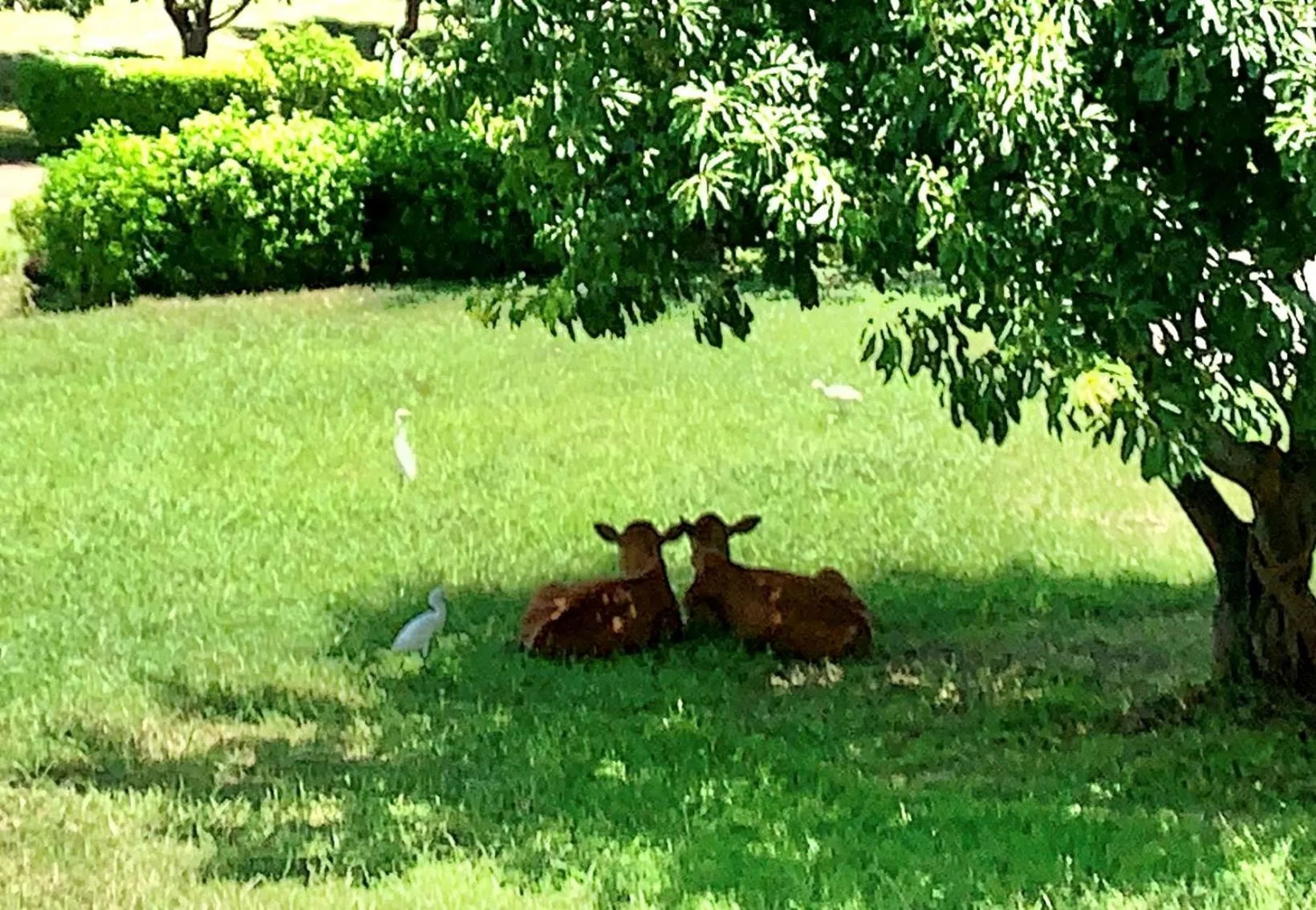 Spring in Kenting Ocean Paradise Resort