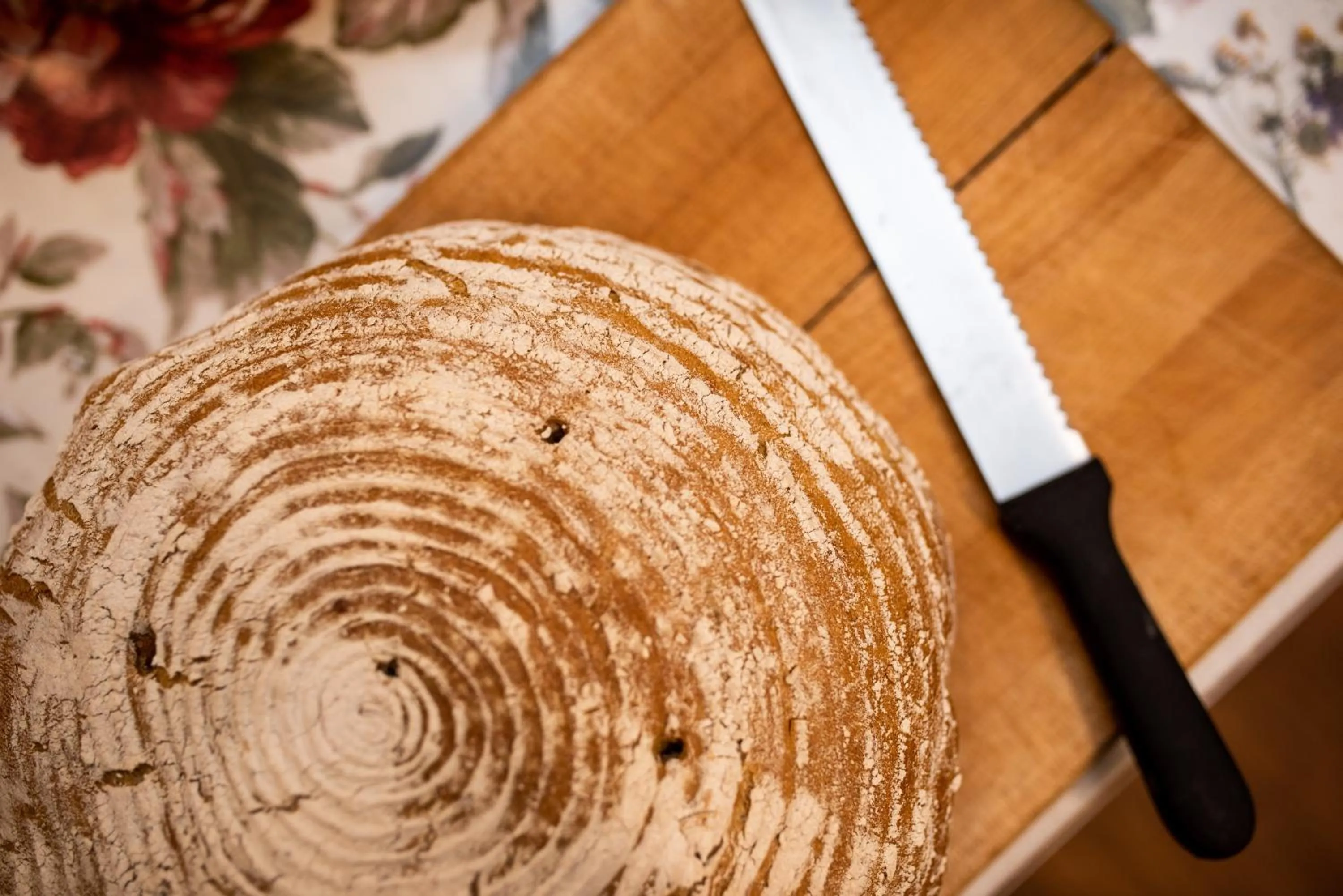 Food close-up in Wierchomla Ski & Spa Resort