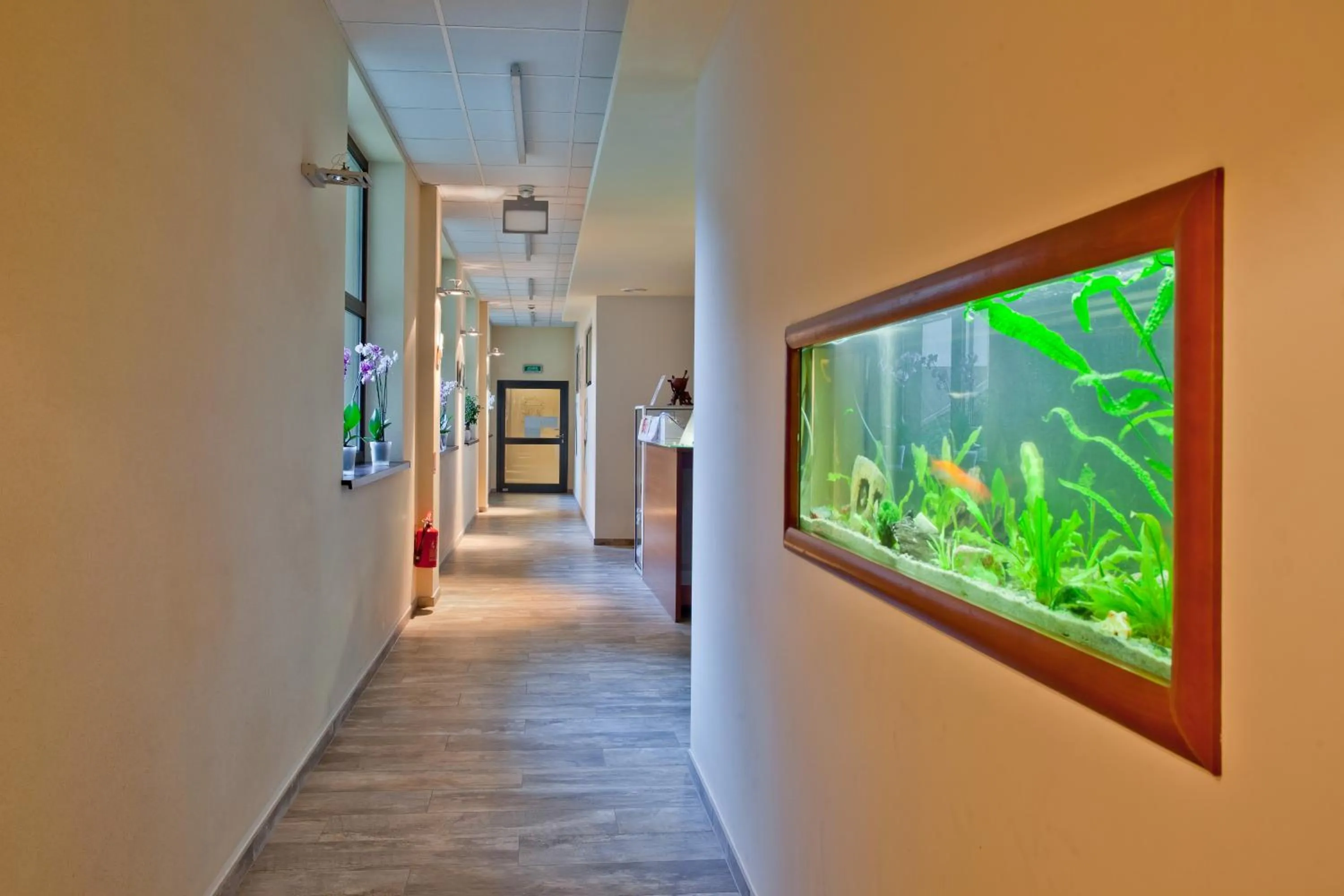 Massage in Wierchomla Ski & Spa Resort