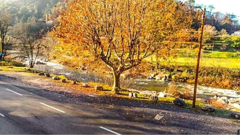 Logis Hotel Restaurant la Corniche des Cevennes