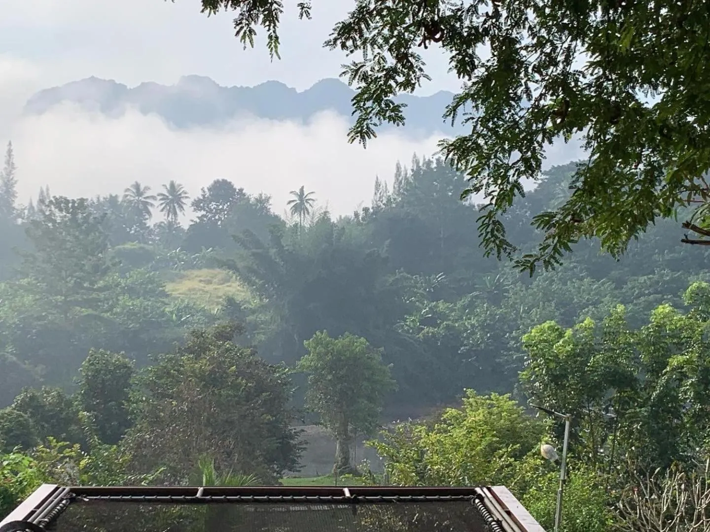 BaanRai KhunYa บ้านไร่คุณย่า