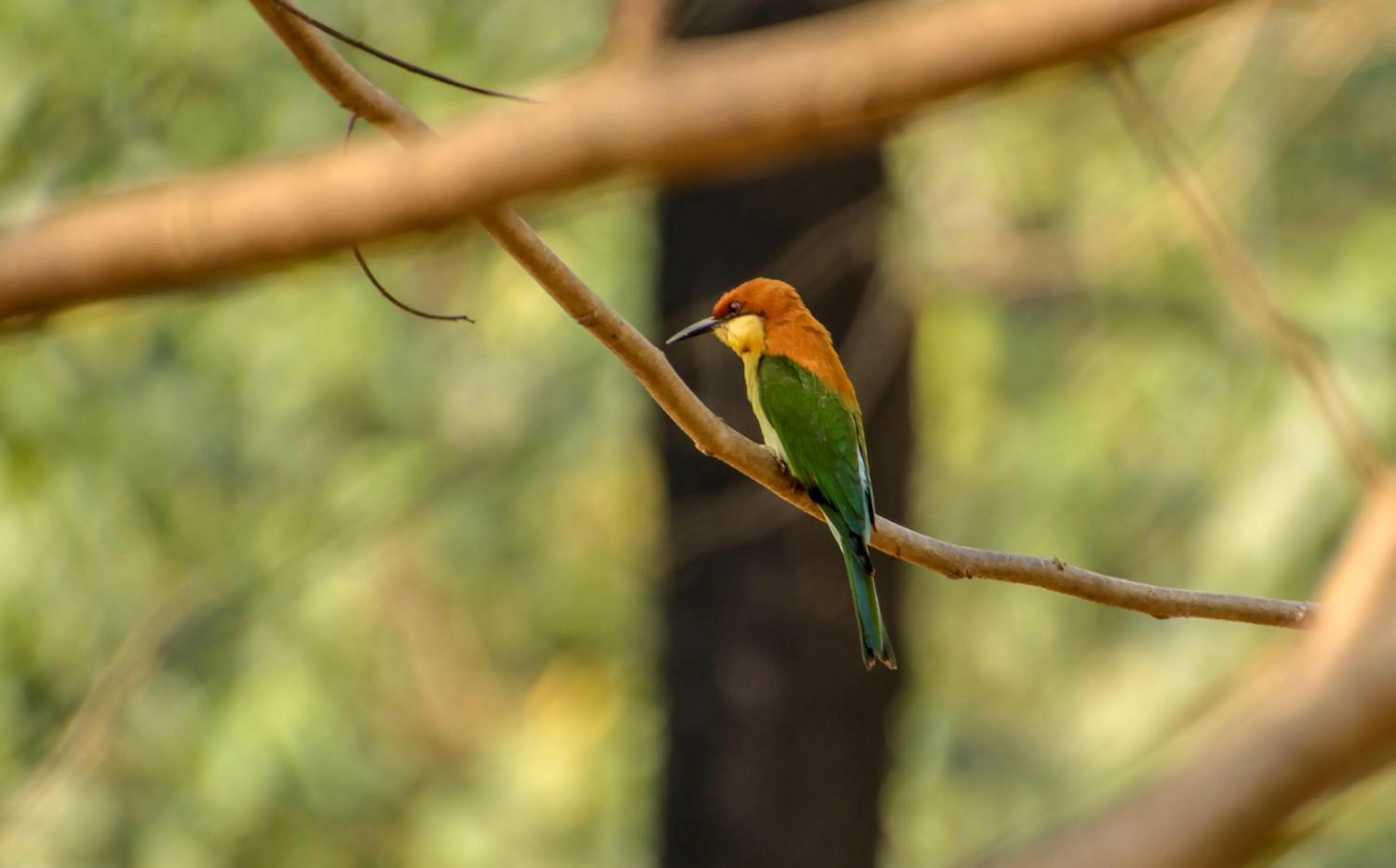 Activities in BaanRai KhunYa บ้านไร่คุณย่า