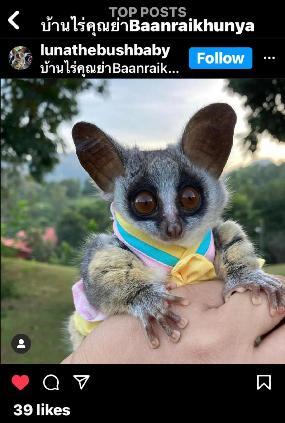 BaanRai KhunYa บ้านไร่คุณย่า