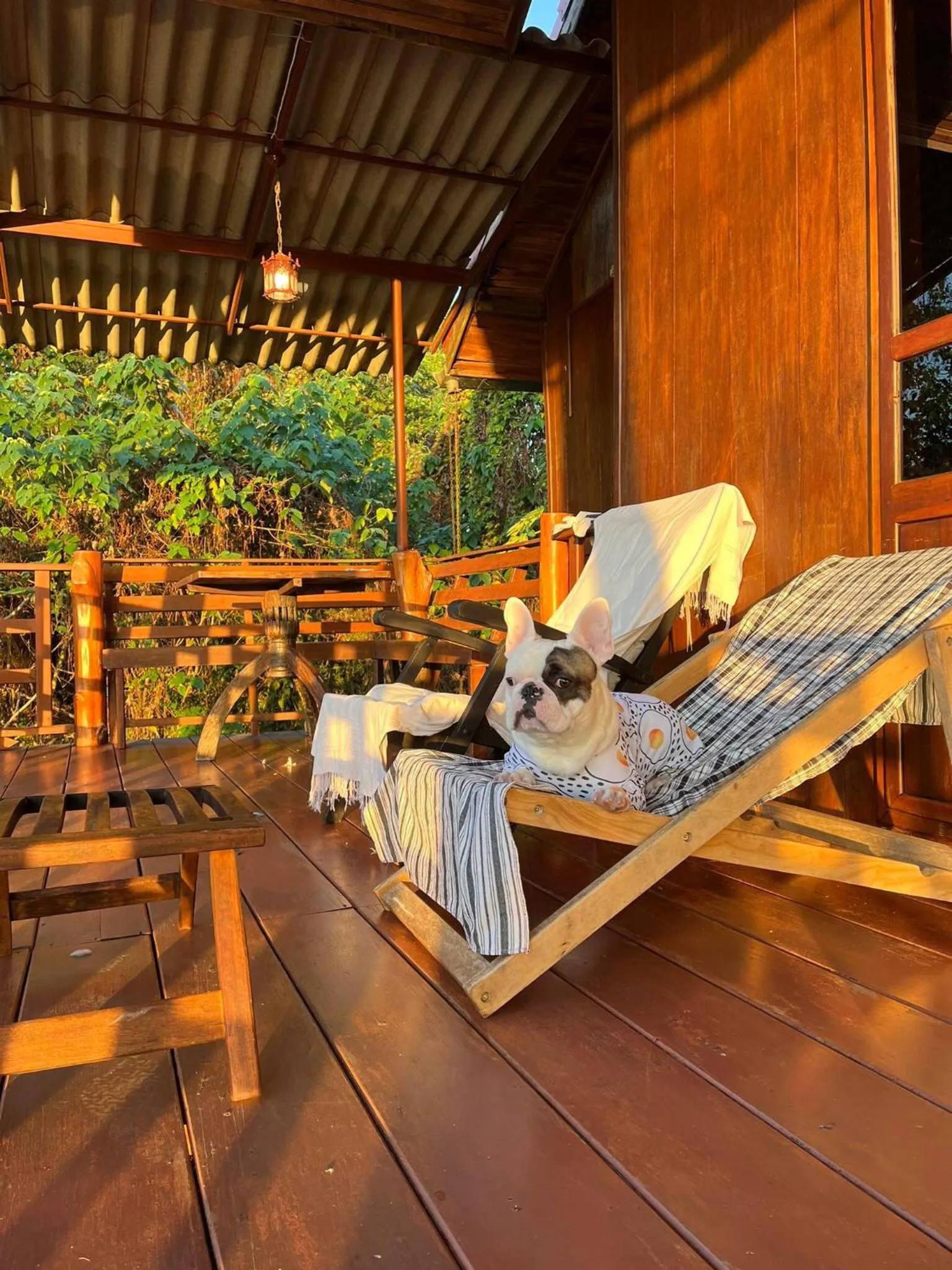 Balcony/Terrace in BaanRai KhunYa บ้านไร่คุณย่า