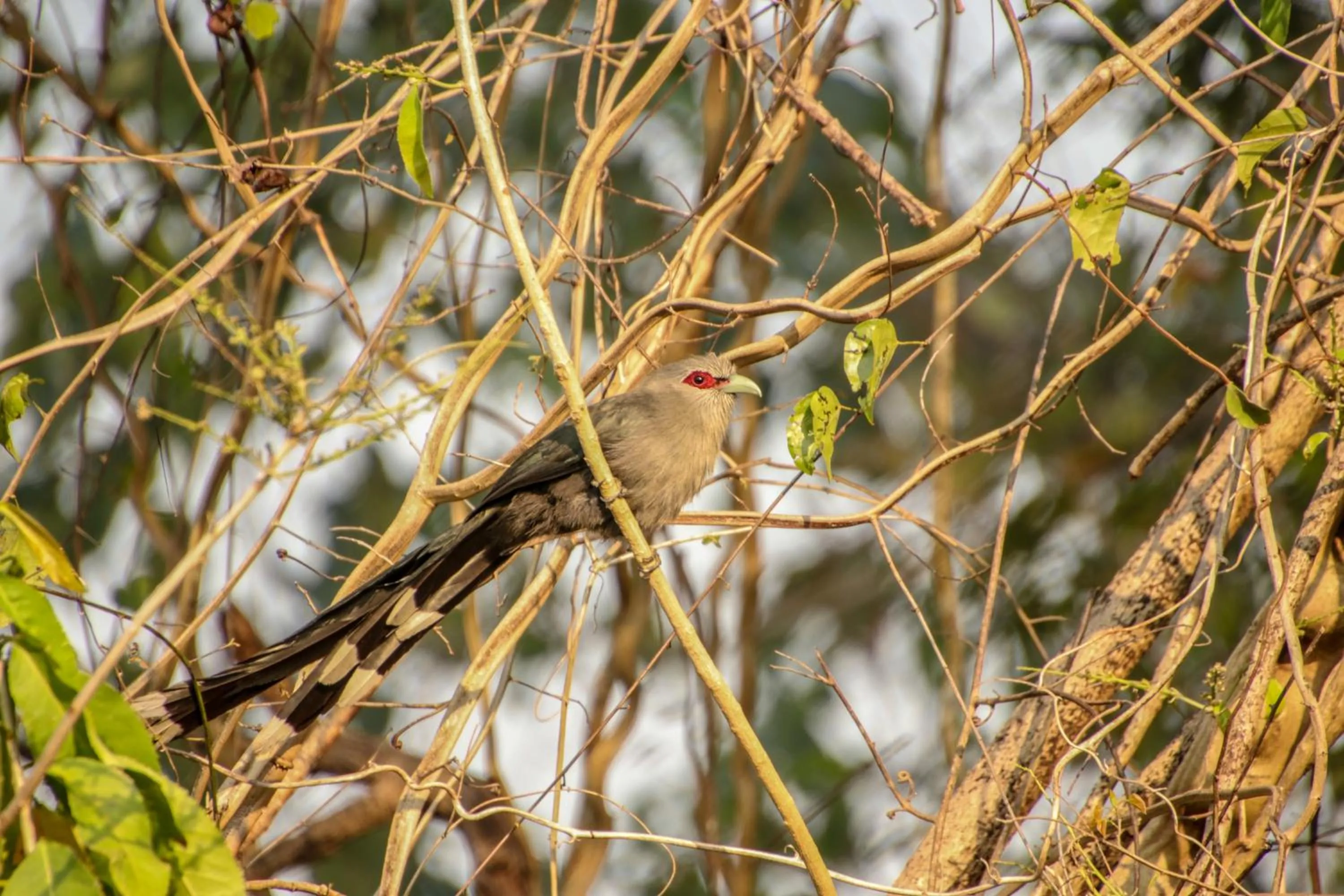 BaanRai KhunYa บ้านไร่คุณย่า