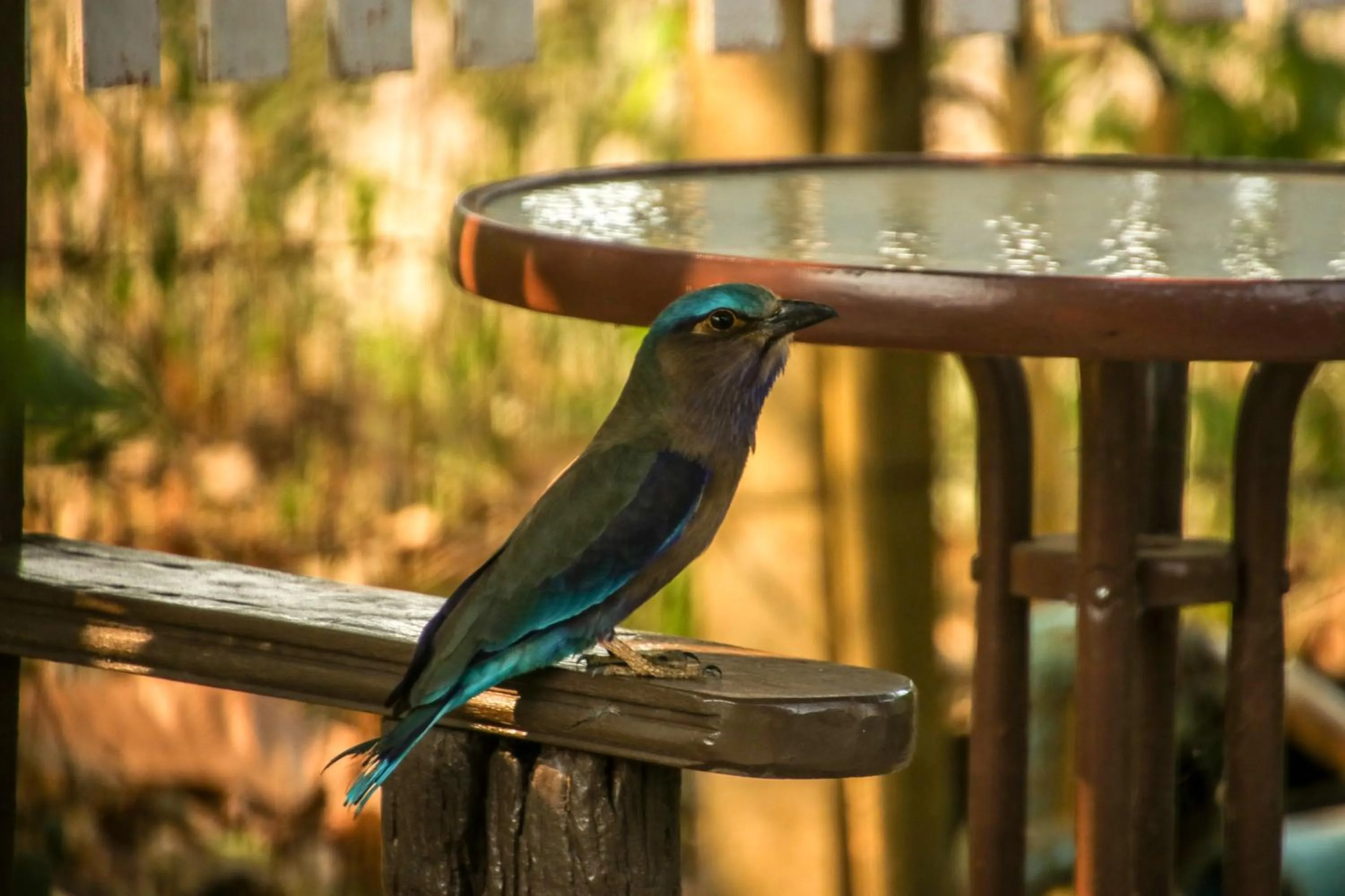 BaanRai KhunYa บ้านไร่คุณย่า