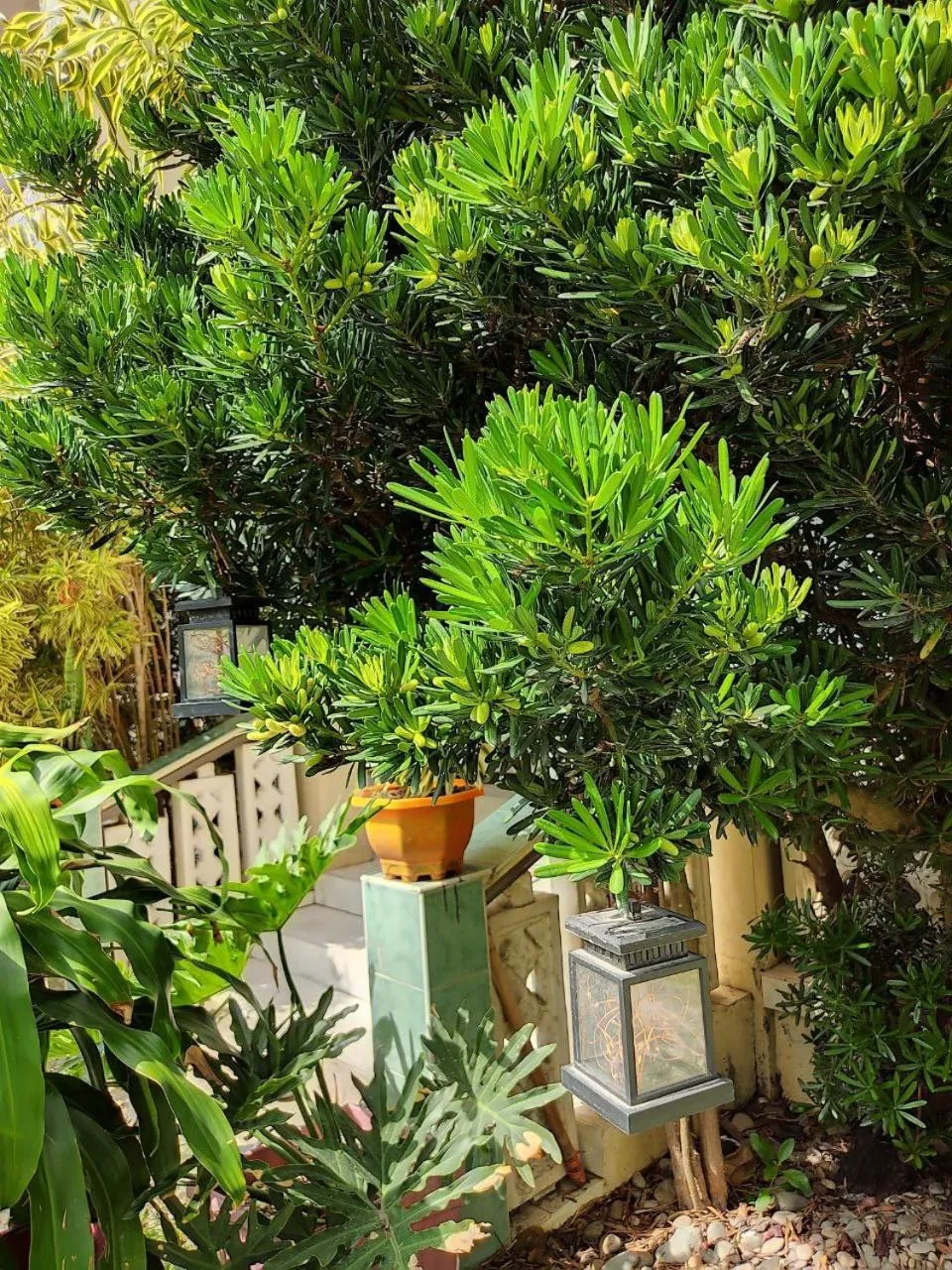 Property building in Riverside at Aninuan Accommodation and Food