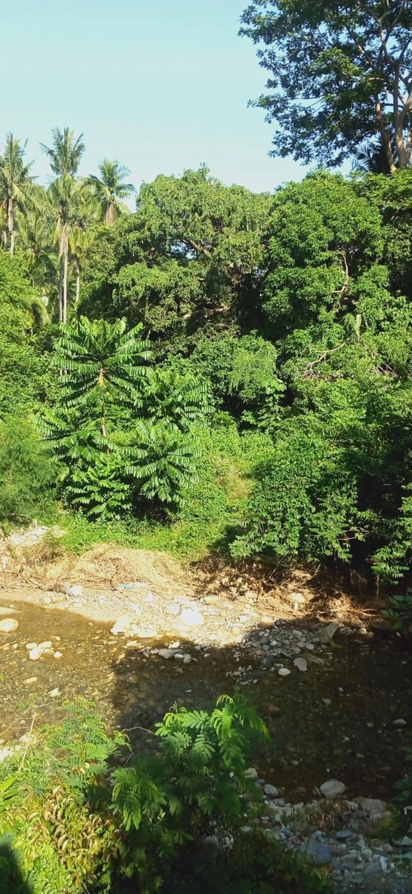 Hiking in Riverside at Aninuan Accommodation and Food