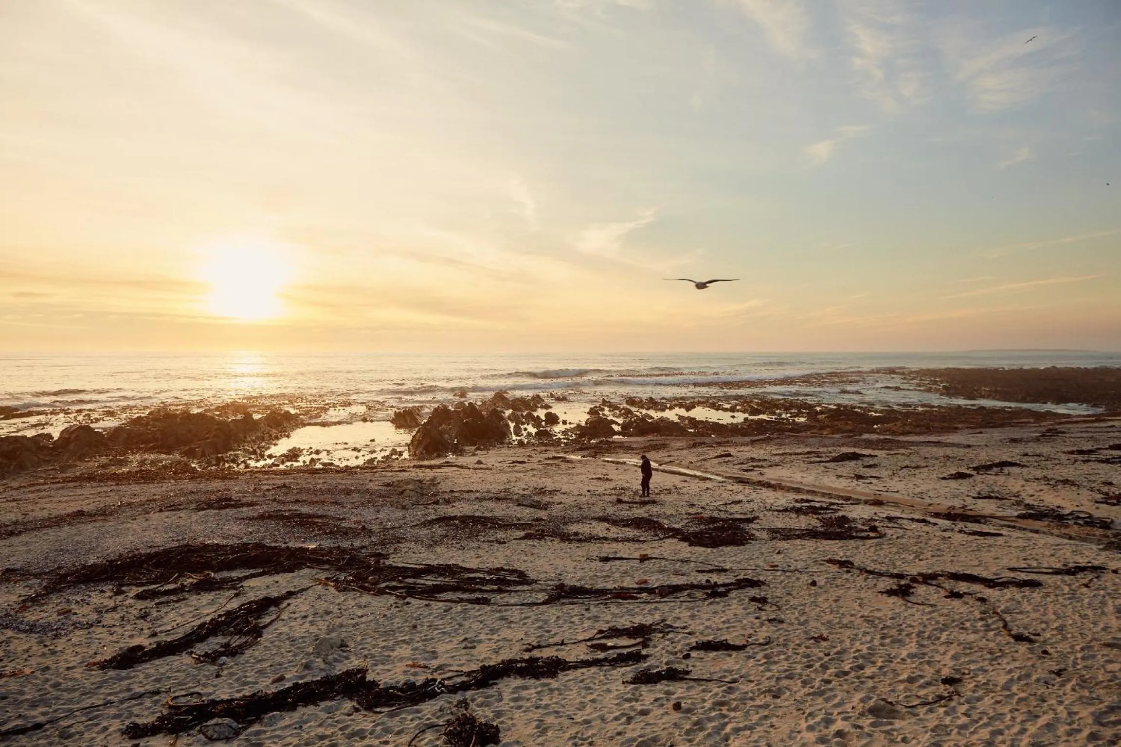Natural landscape in First Group Riviera Suites