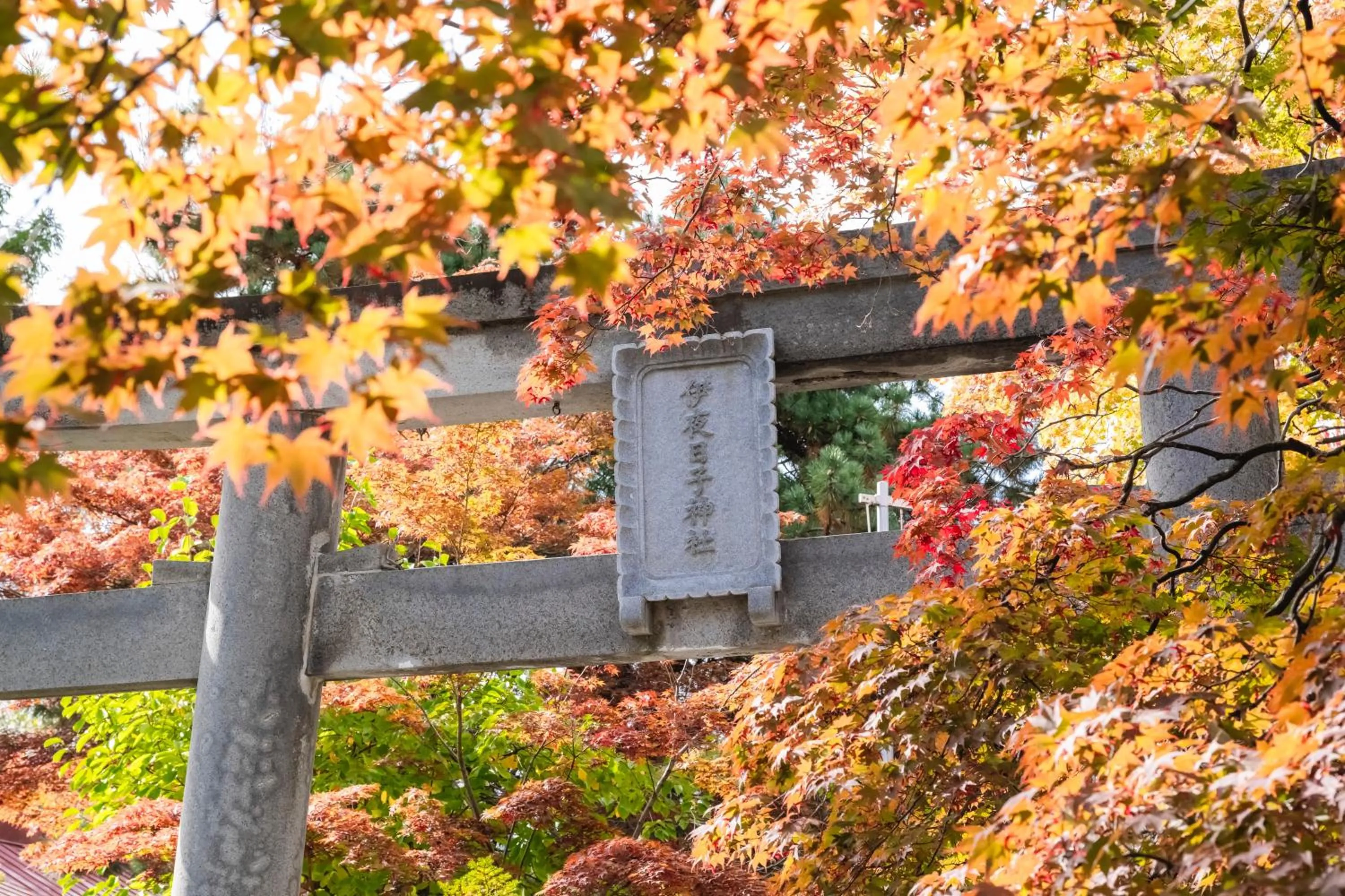 Nearby landmark in HOTEL MYSTAYS Sapporo Nakajima Park