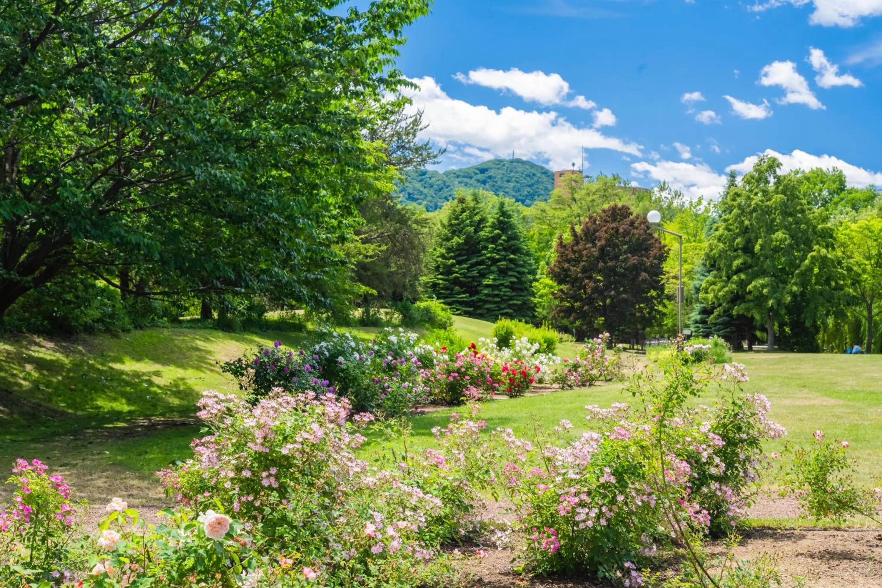 Nearby landmark in HOTEL MYSTAYS Sapporo Nakajima Park