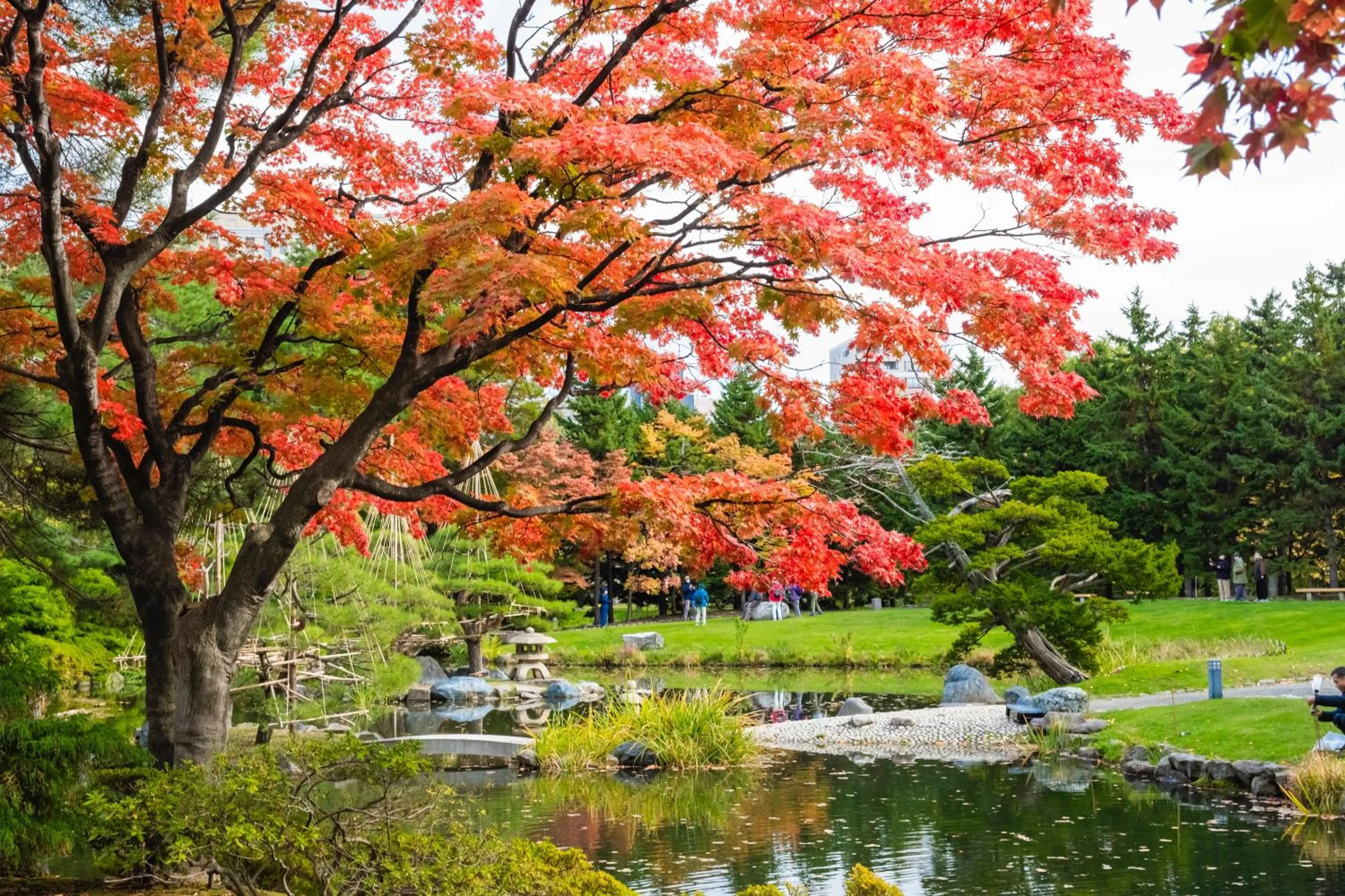 Nearby landmark in HOTEL MYSTAYS Sapporo Nakajima Park