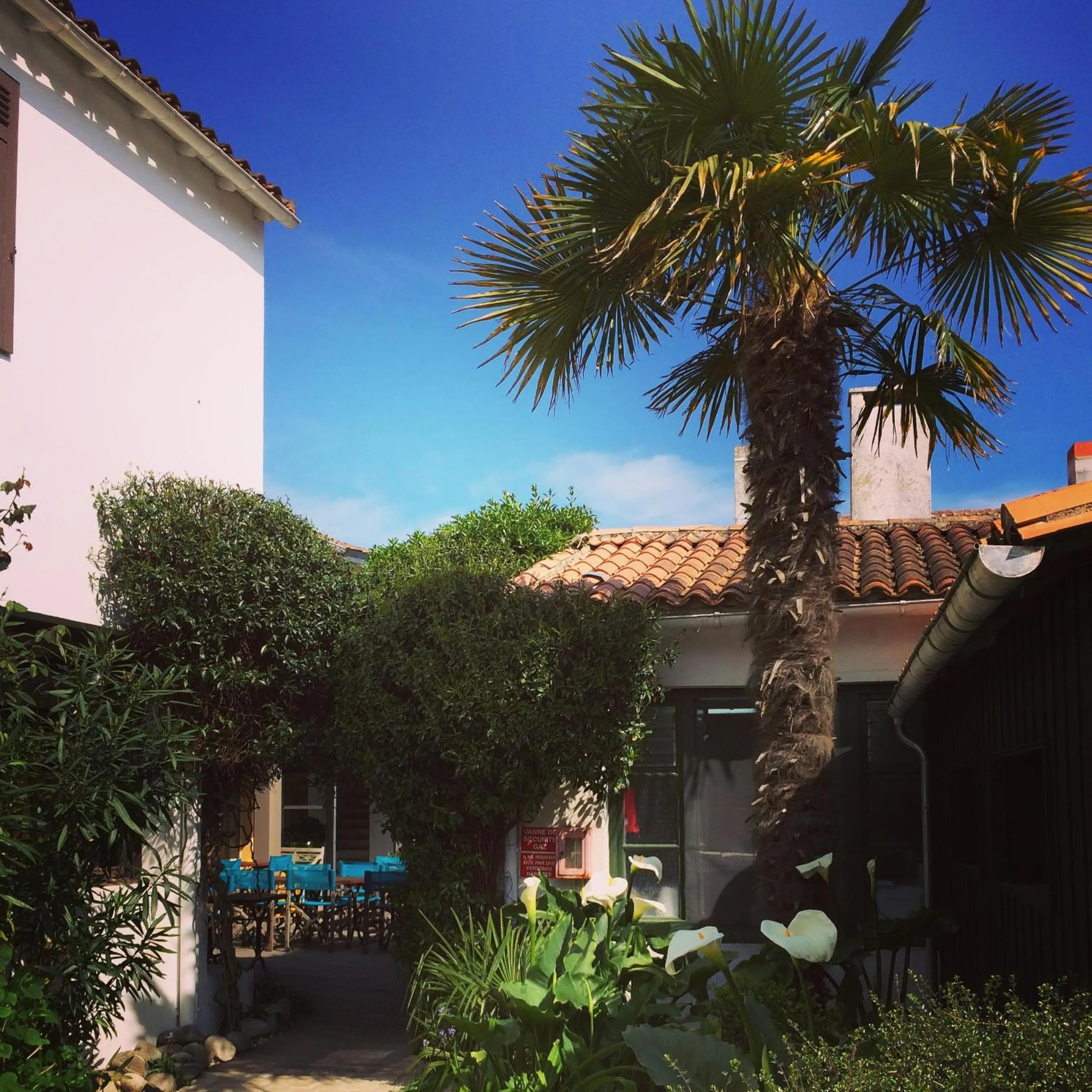 Garden in Hotel L'Océan