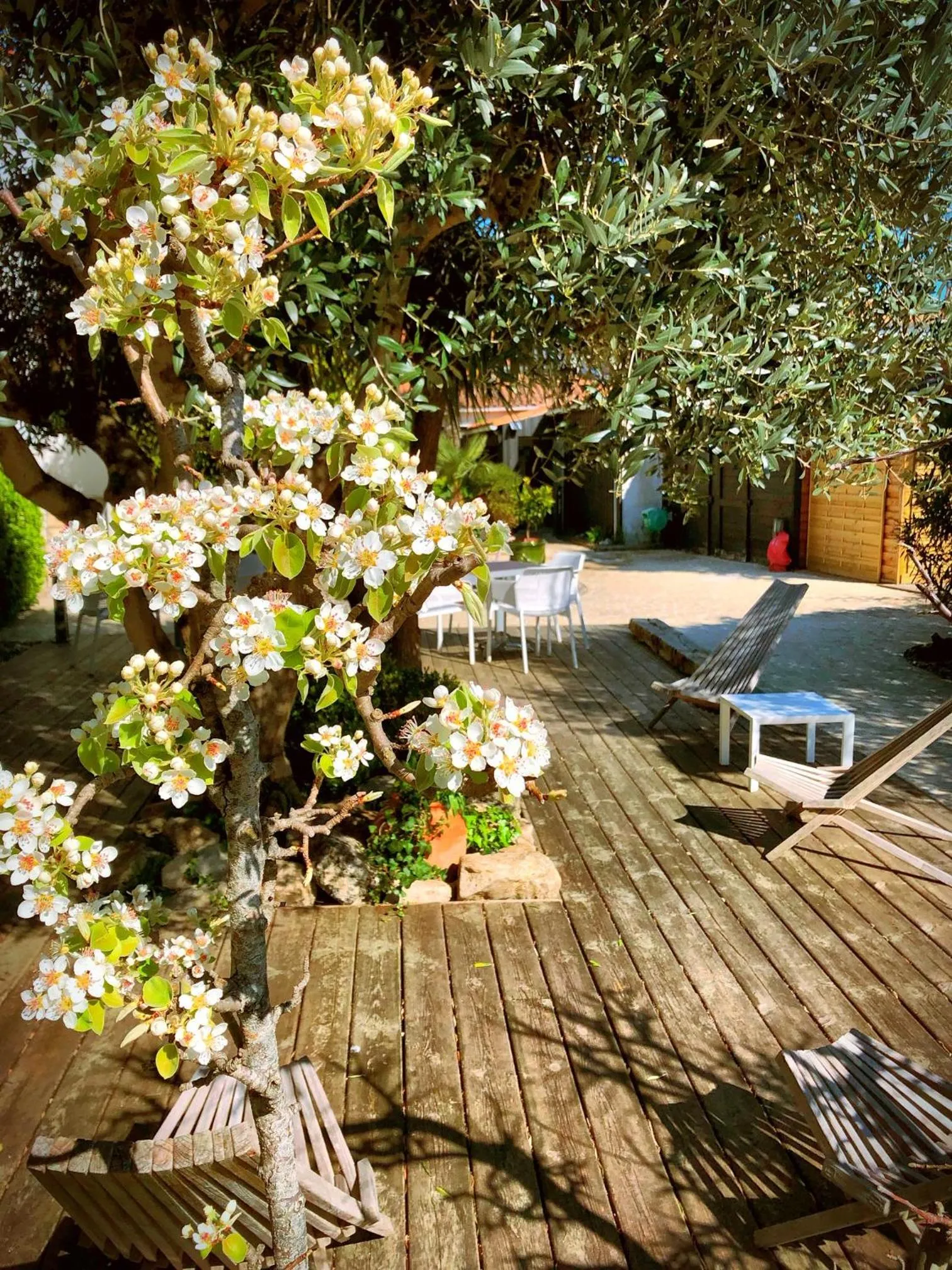 Garden in Hotel L'Océan
