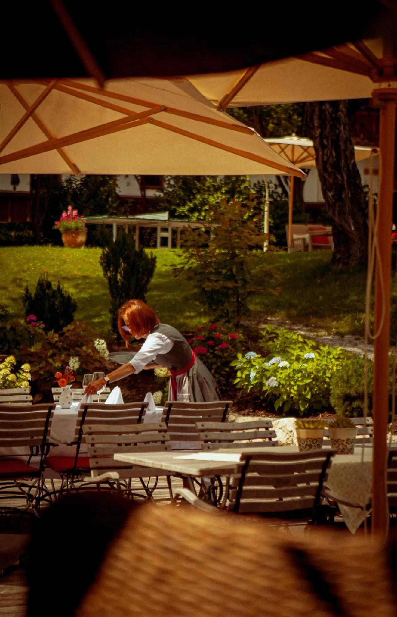 Restaurant/places to eat in Hotel Zur Post