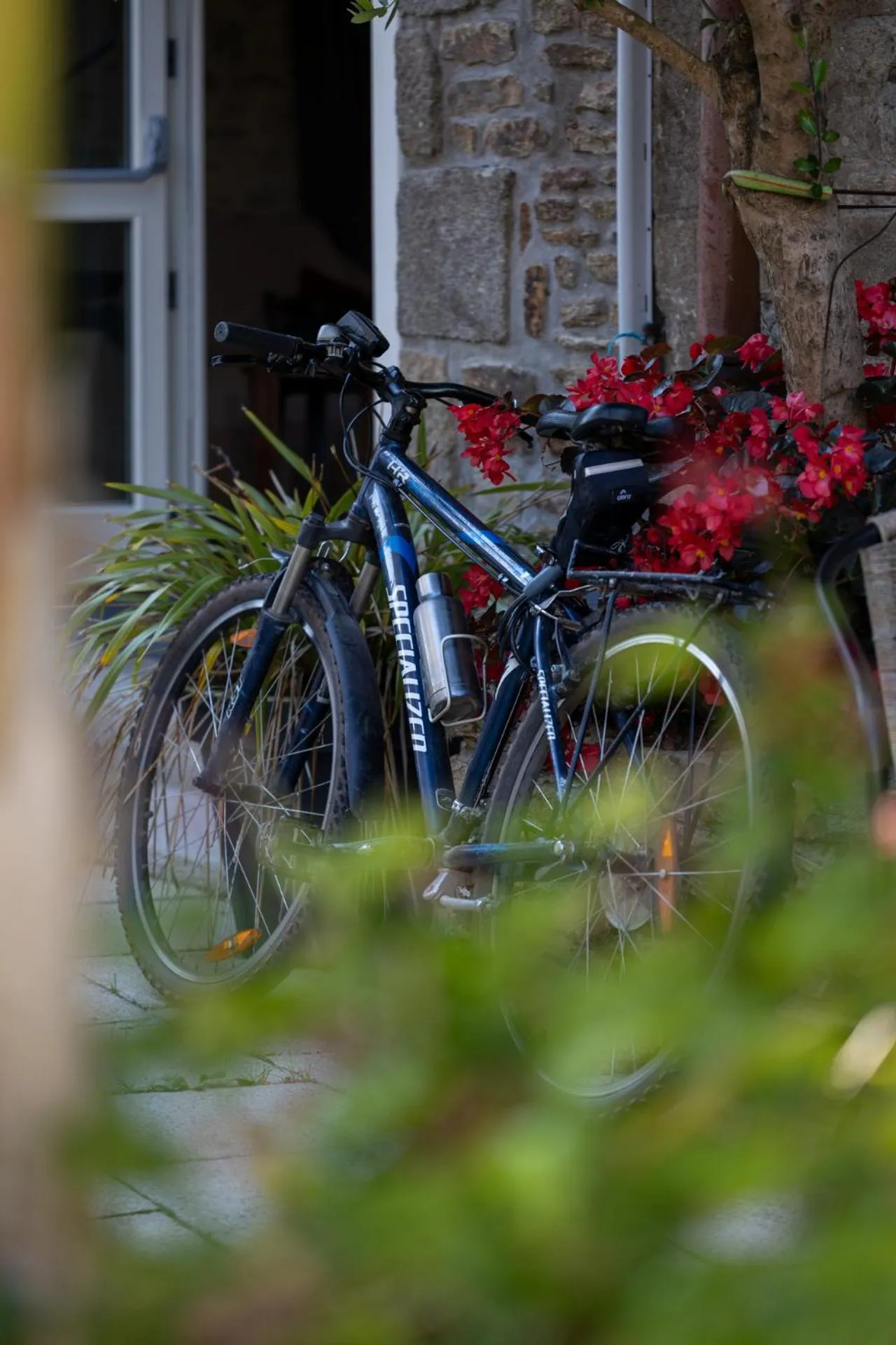 Cycling in Hotel Restaurant Lesage