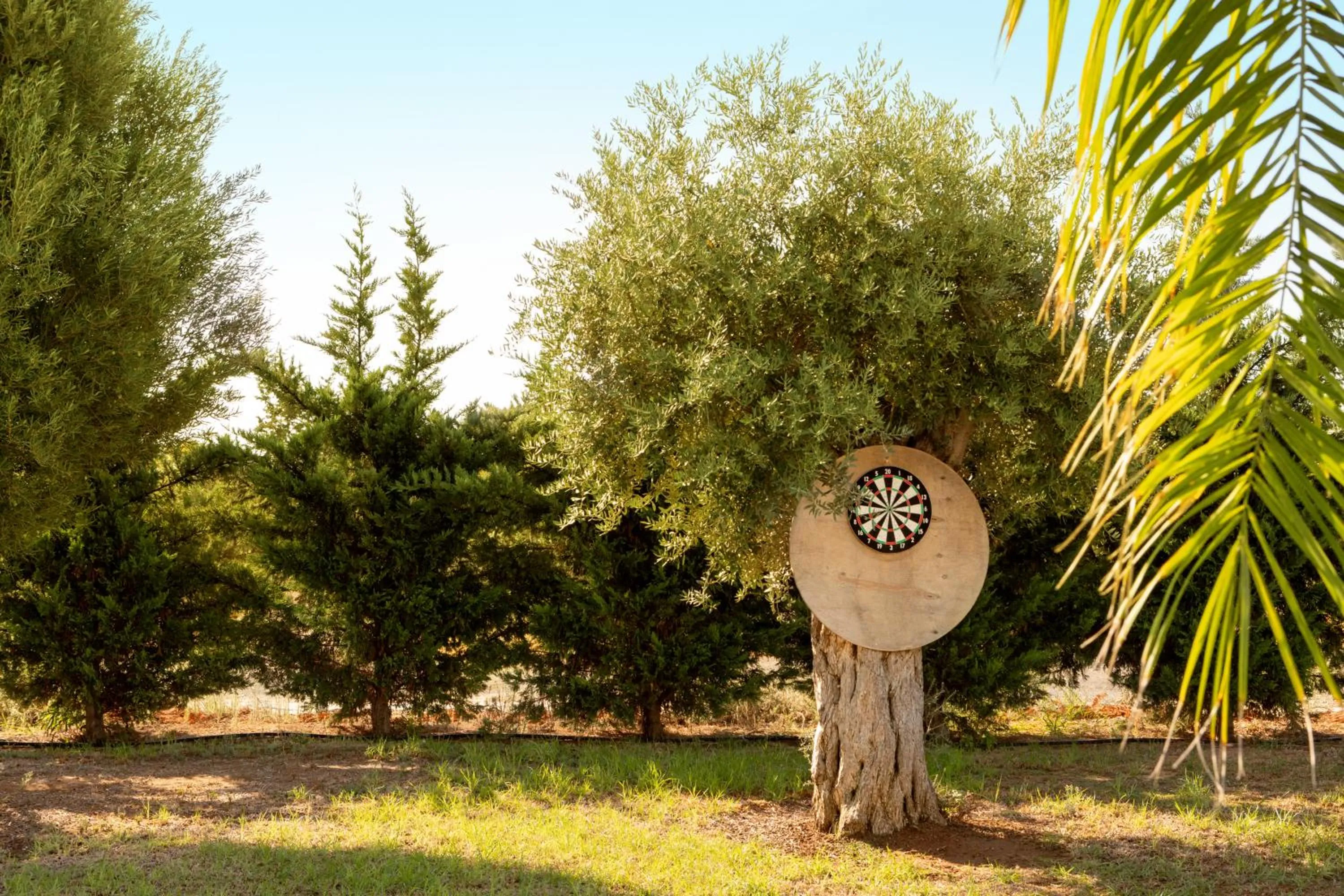 Natural landscape in Amethyst Napa Hotel & Spa