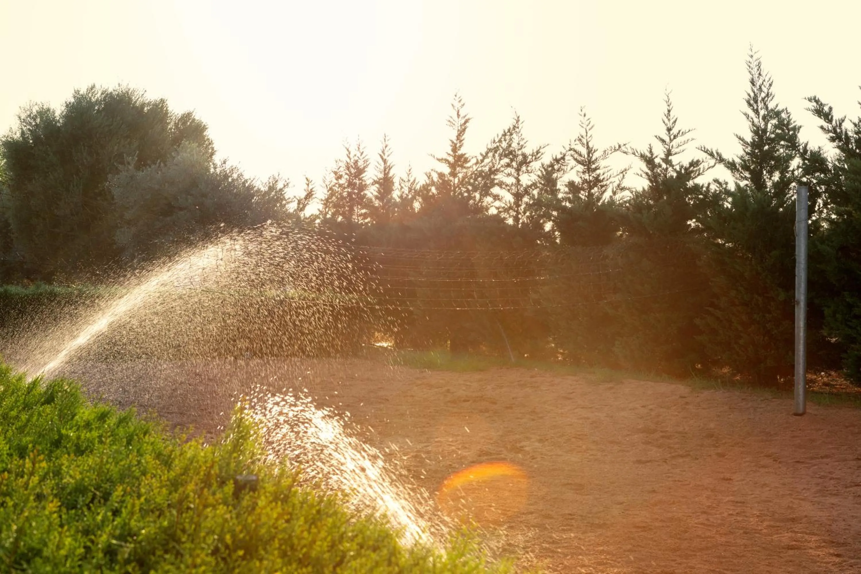 Natural landscape in Amethyst Napa Hotel & Spa