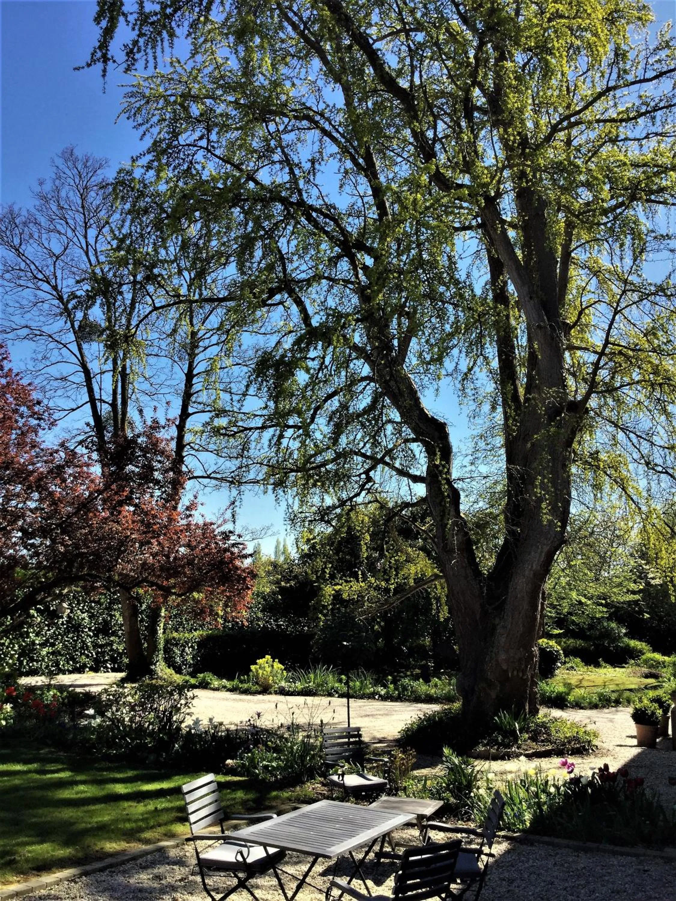 Patio in Le Grand Arbre