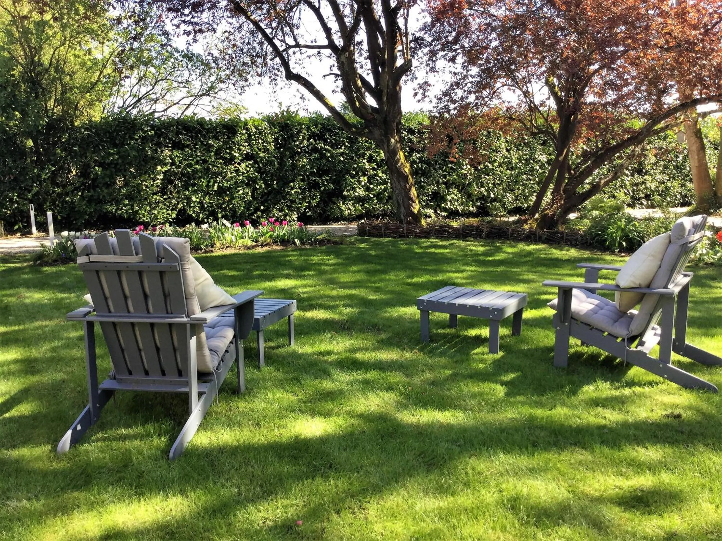 Garden in Le Grand Arbre
