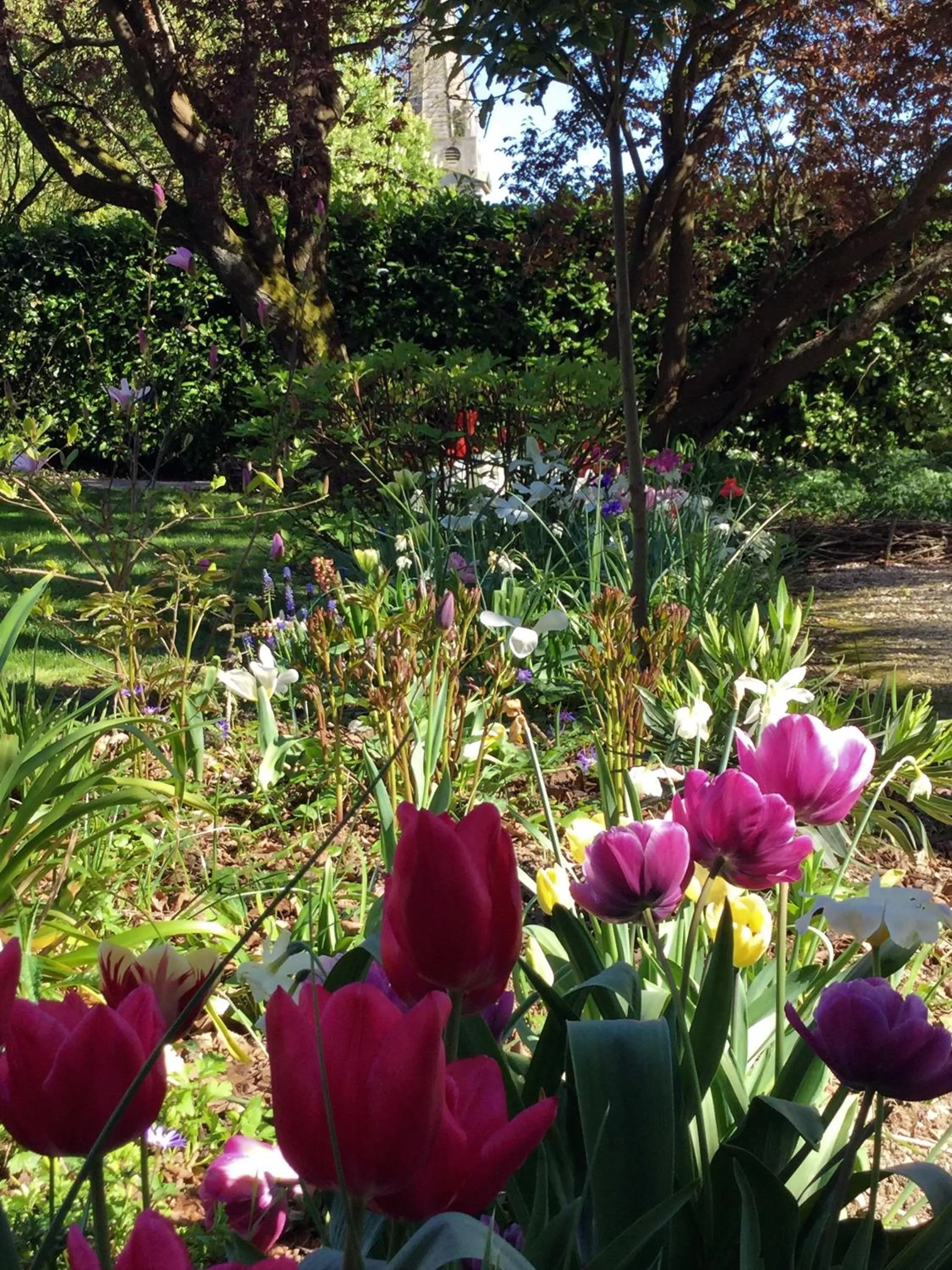 Garden in Le Grand Arbre