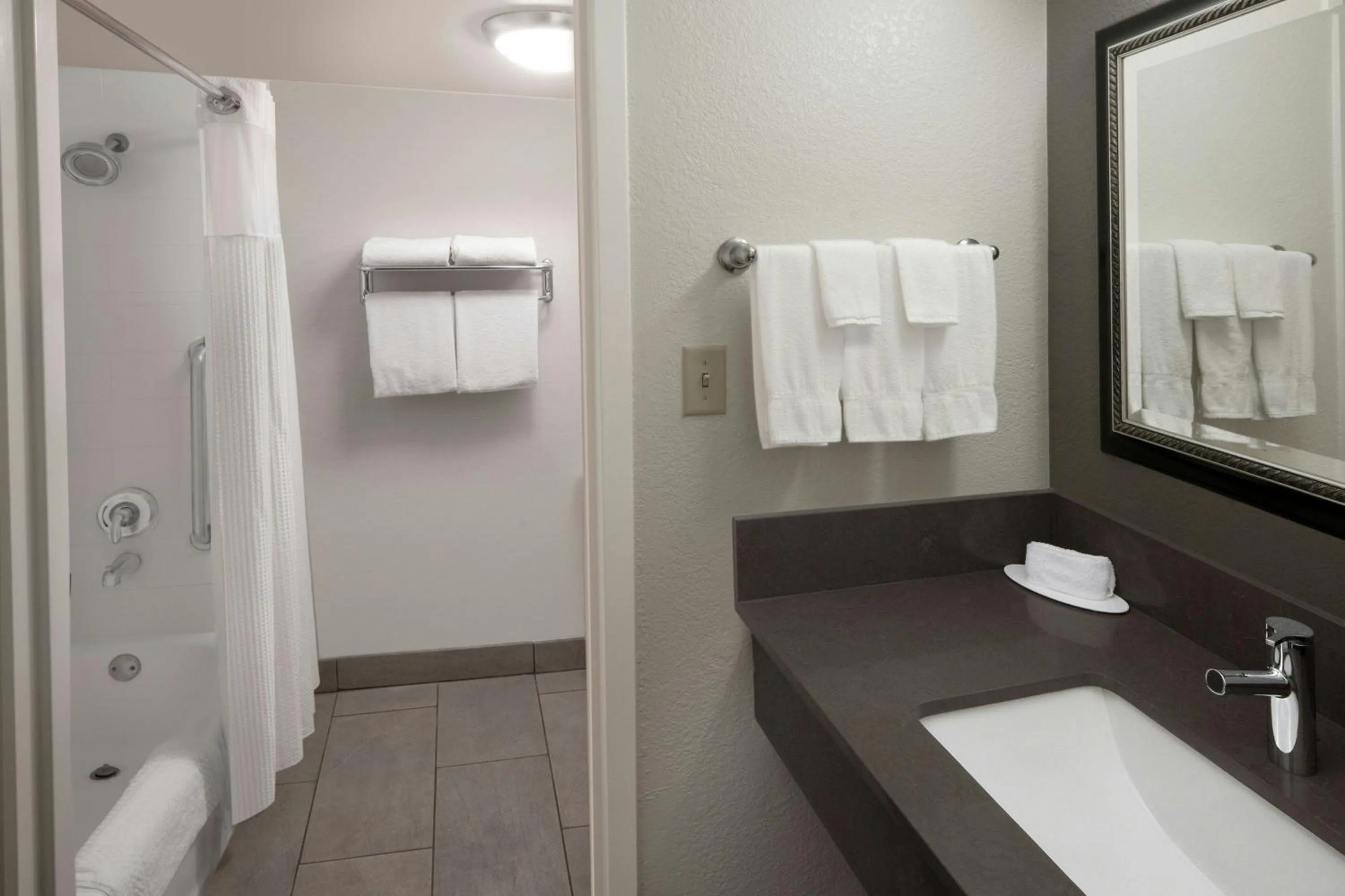 Bathroom in Courtyard Dallas Las Colinas