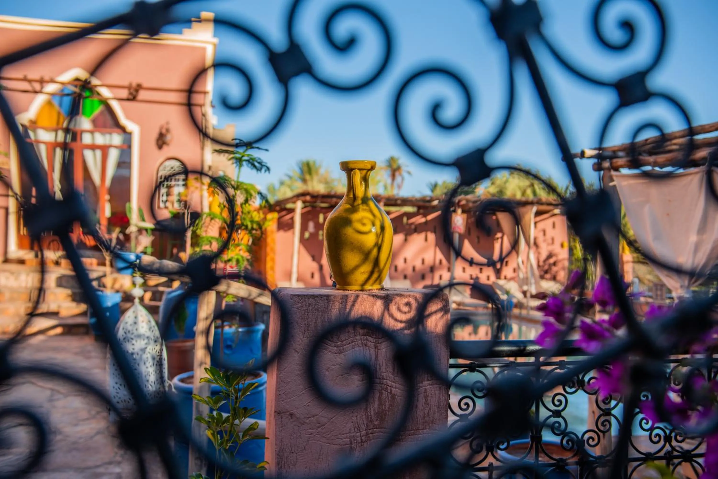Swimming pool in Riad Dar Bab Todra