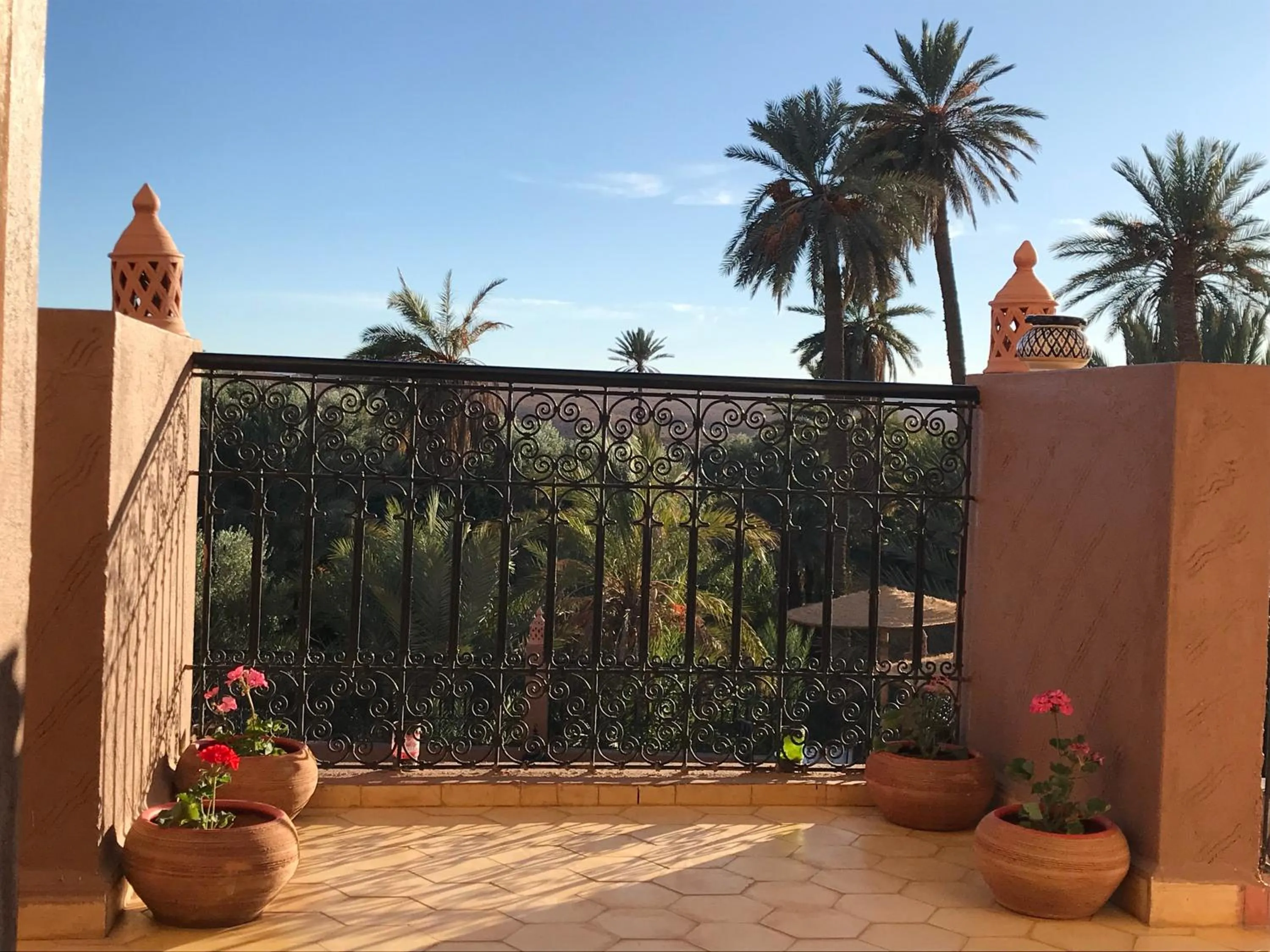 Balcony/Terrace in Riad Dar Bab Todra